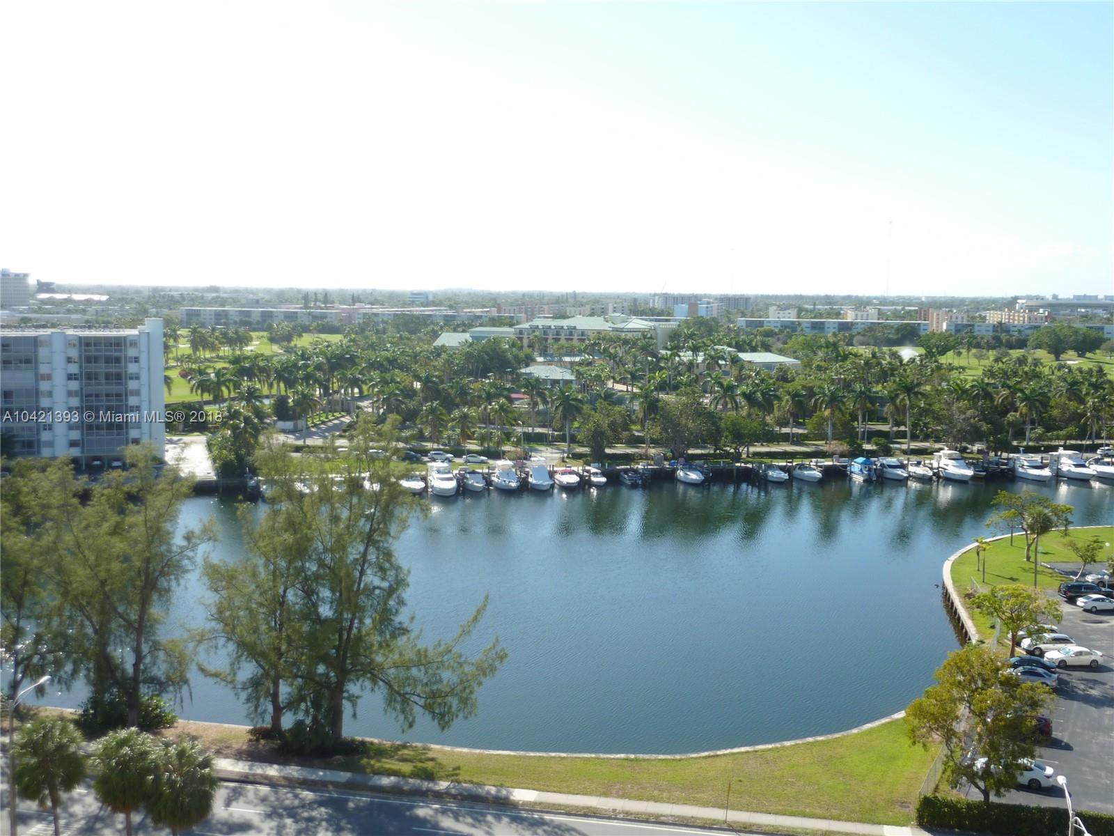 Actual View