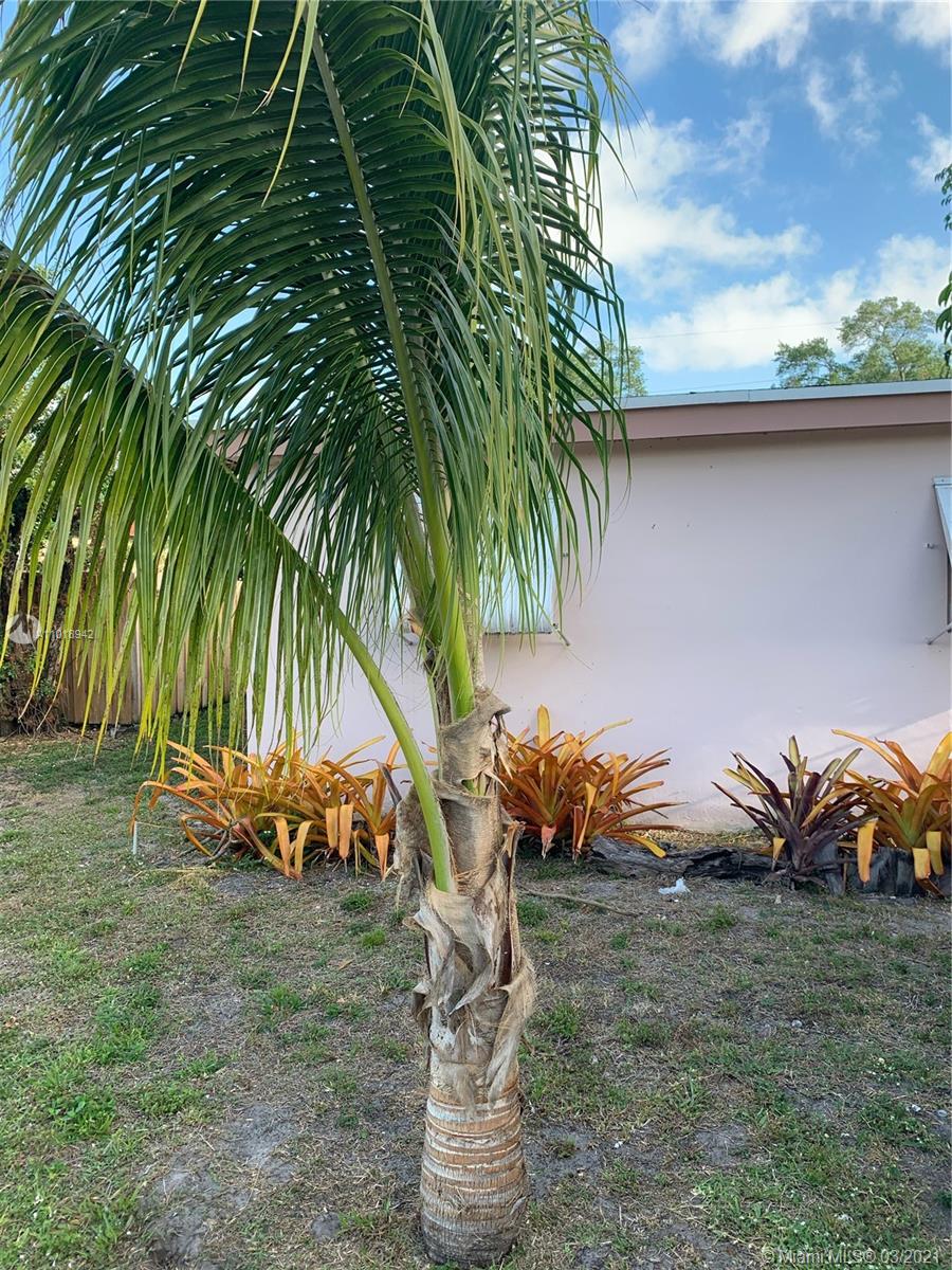 See details / 1330 sq. ft. $ 2021-04-12 0 Photo
