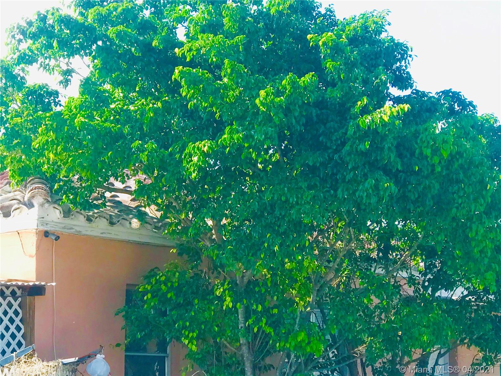 See details / 2048 sq. ft. $ 2021-04-06 0 Photo