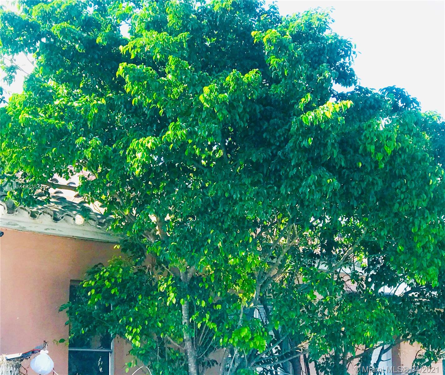 See details / 2048 sq. ft. $ 2021-04-06 0 Photo