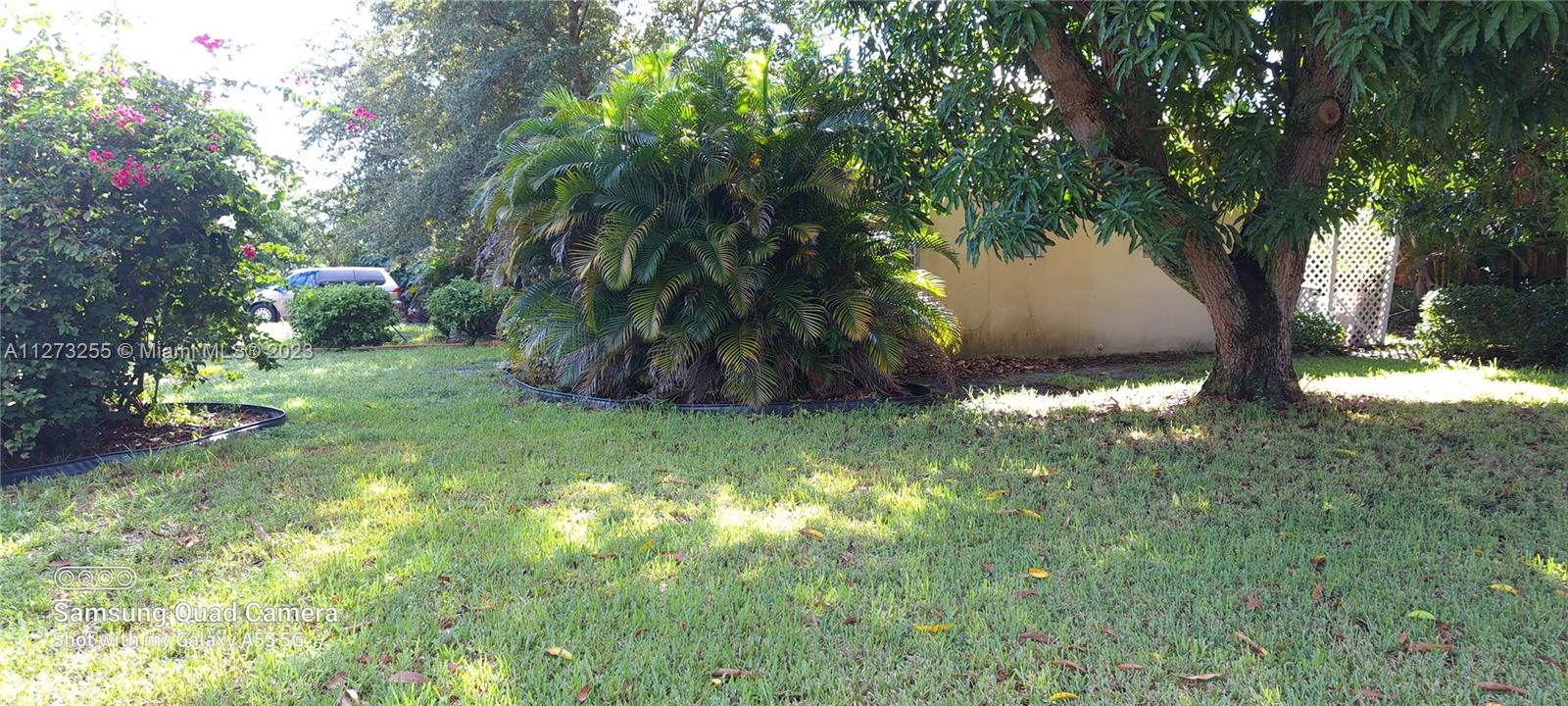 See details / 1779 sq. ft. $ 2022-12-09 0 Photo