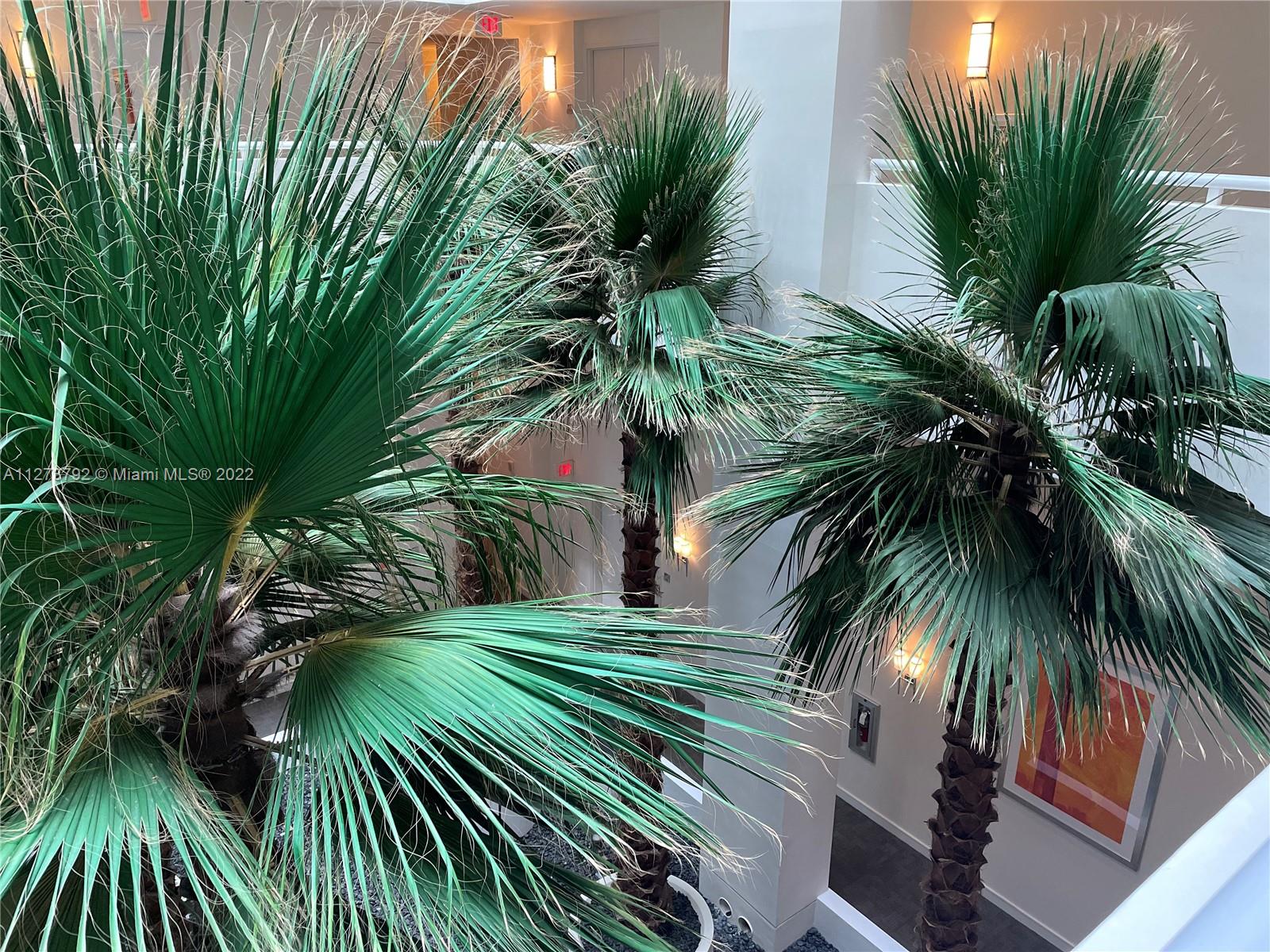 Photo of 3131 188th St #1-504, Aventura, Florida, 33180 - Elevator is located in the Atrium