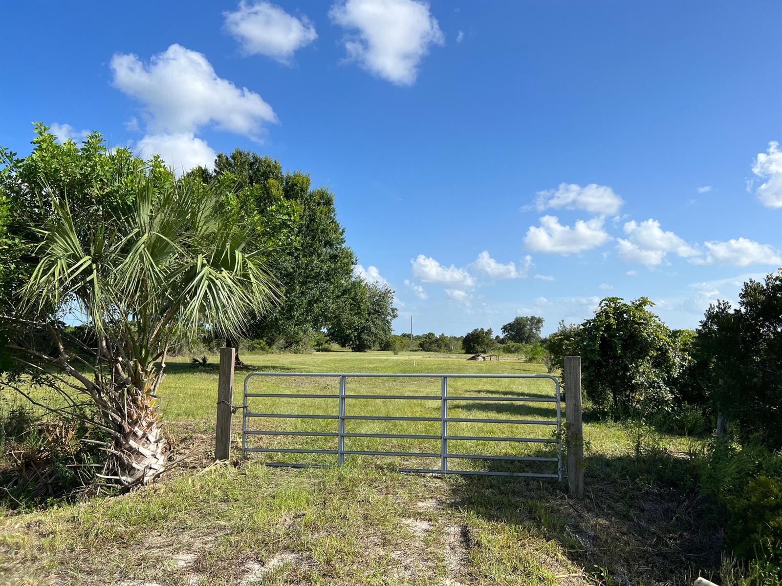   / 0  sq. ft. $ 2026-06-23 0 foto