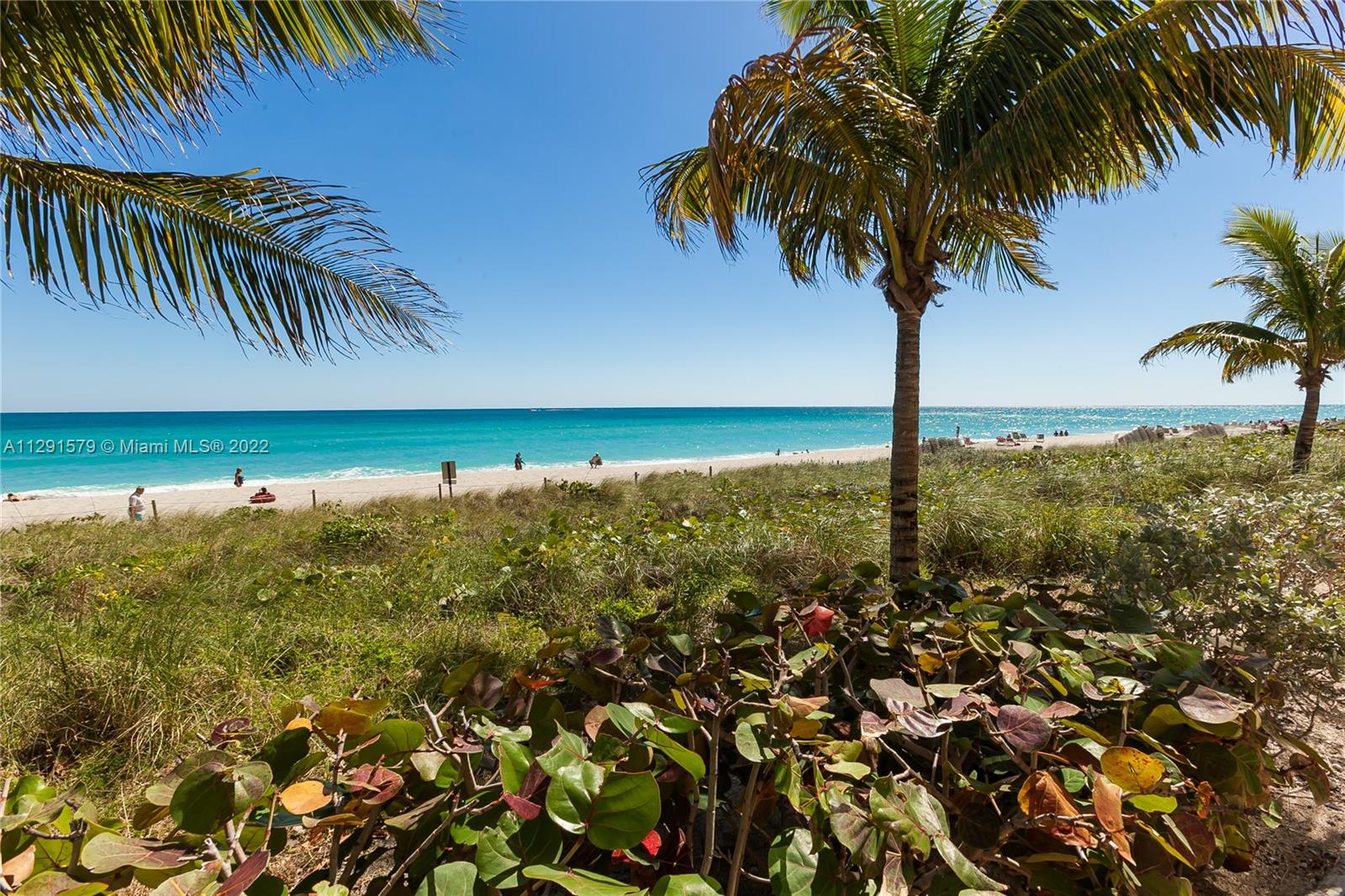 See details 1708 3 / 3 1571 sq. ft. $ 2022-10-20 0 Photo