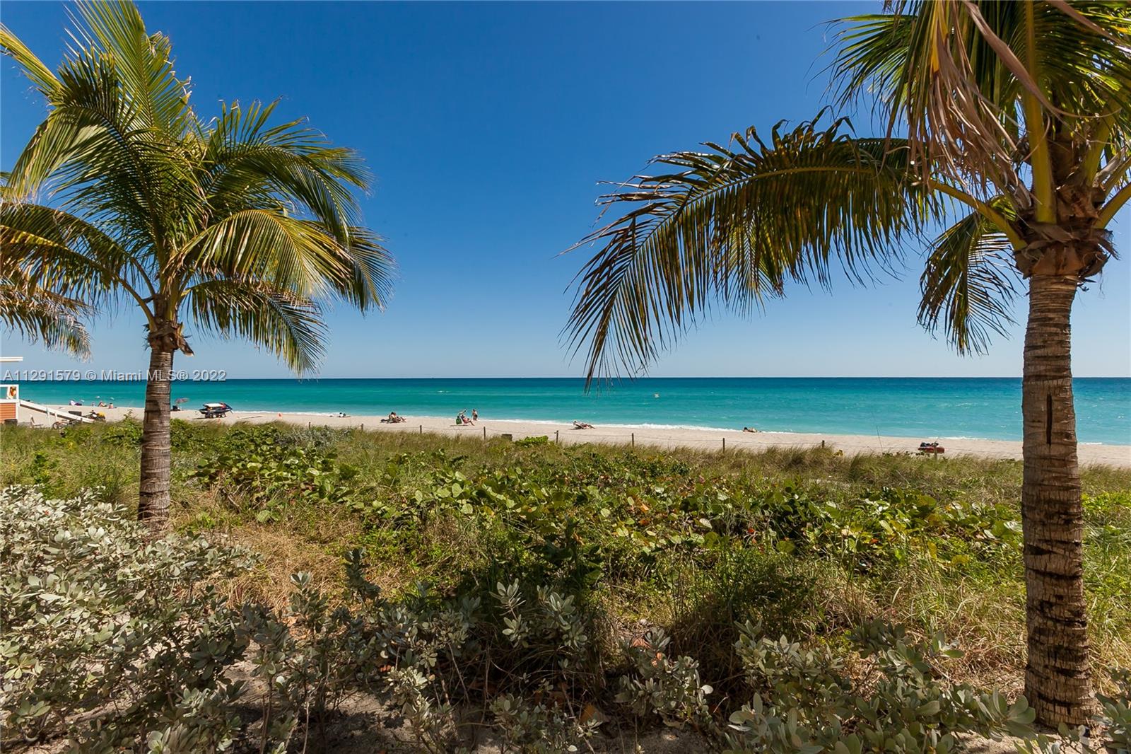 See details 1708 3 / 3 1571 sq. ft. $ 2022-10-20 0 Photo