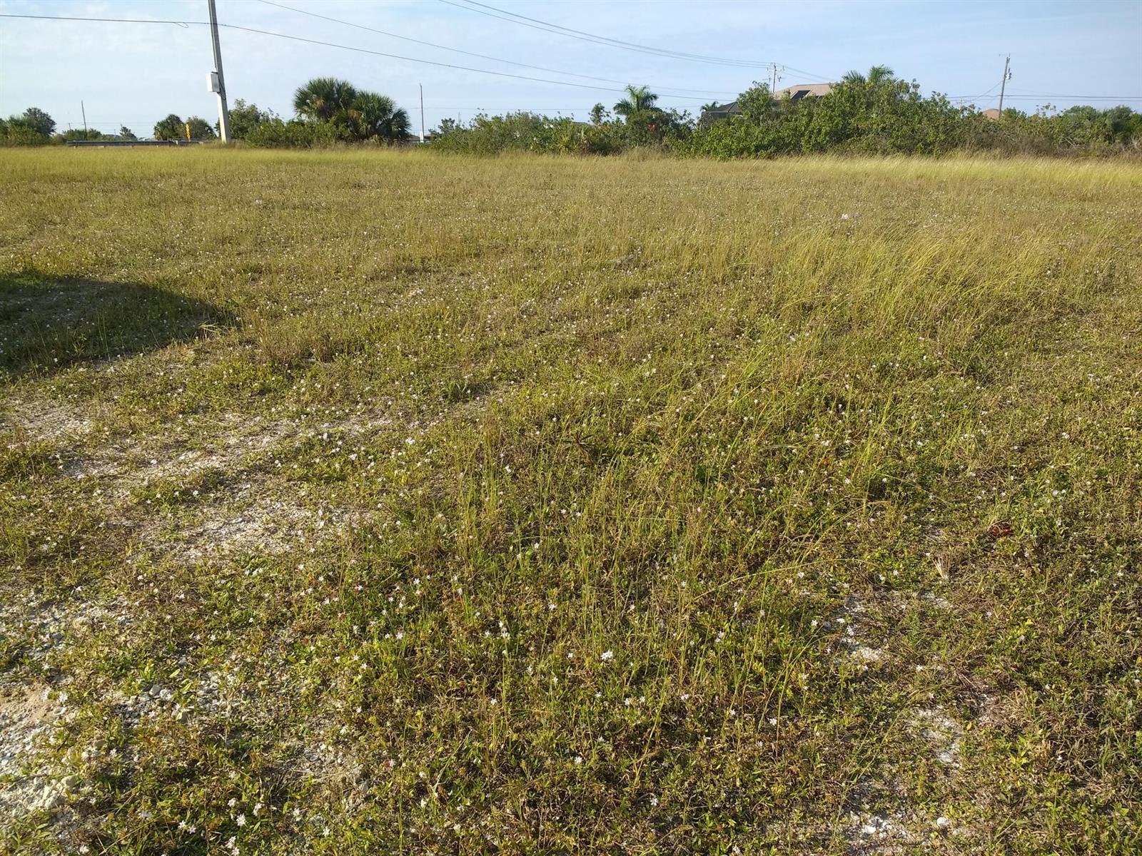 Ver detalles / 0 sq. ft. $ 2023-02-16 0 foto