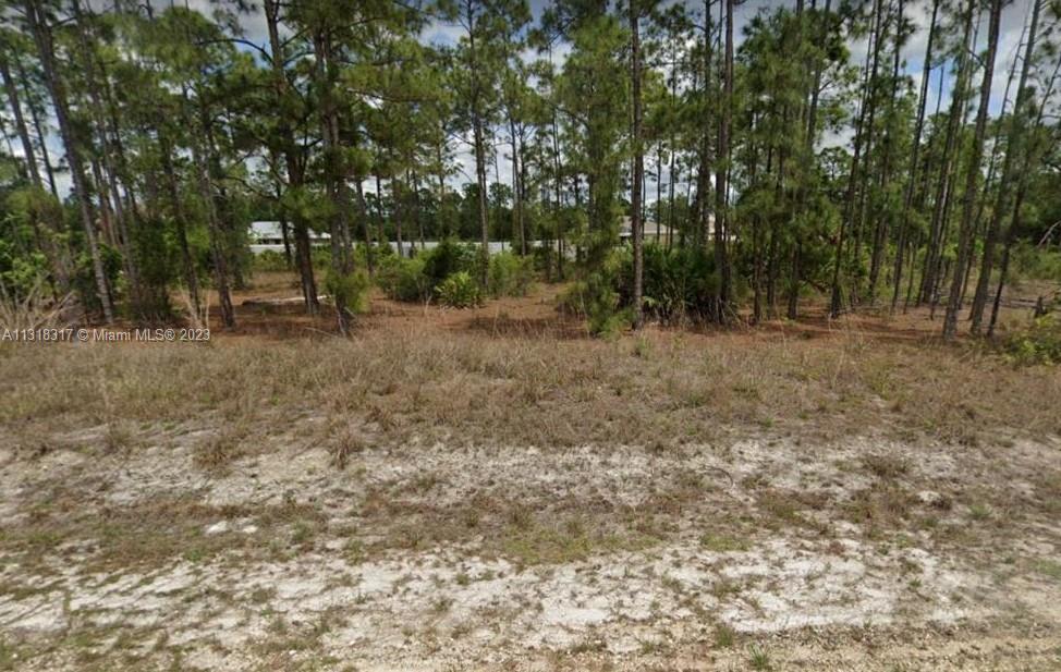 See details / sq. ft. $ 2025-01-17 0 Photo