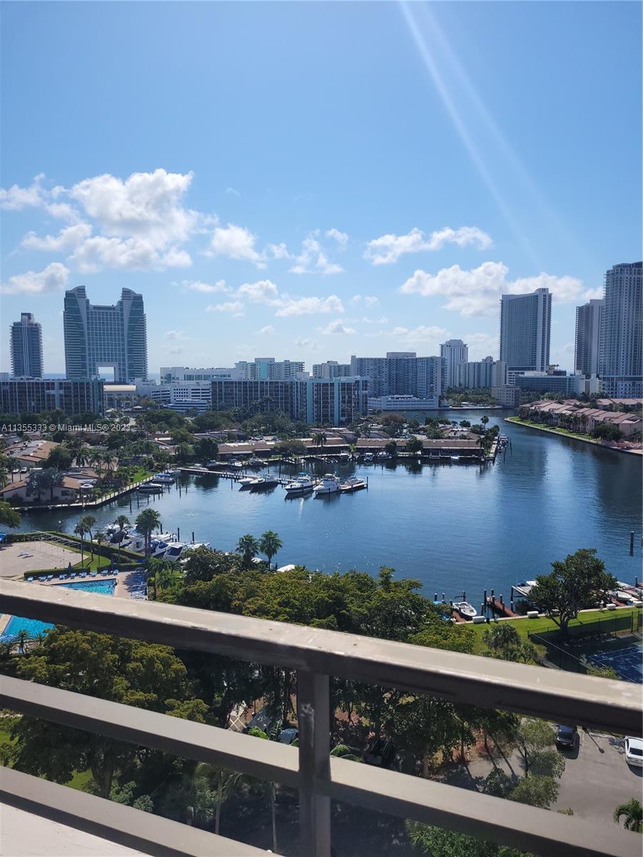 Morning view