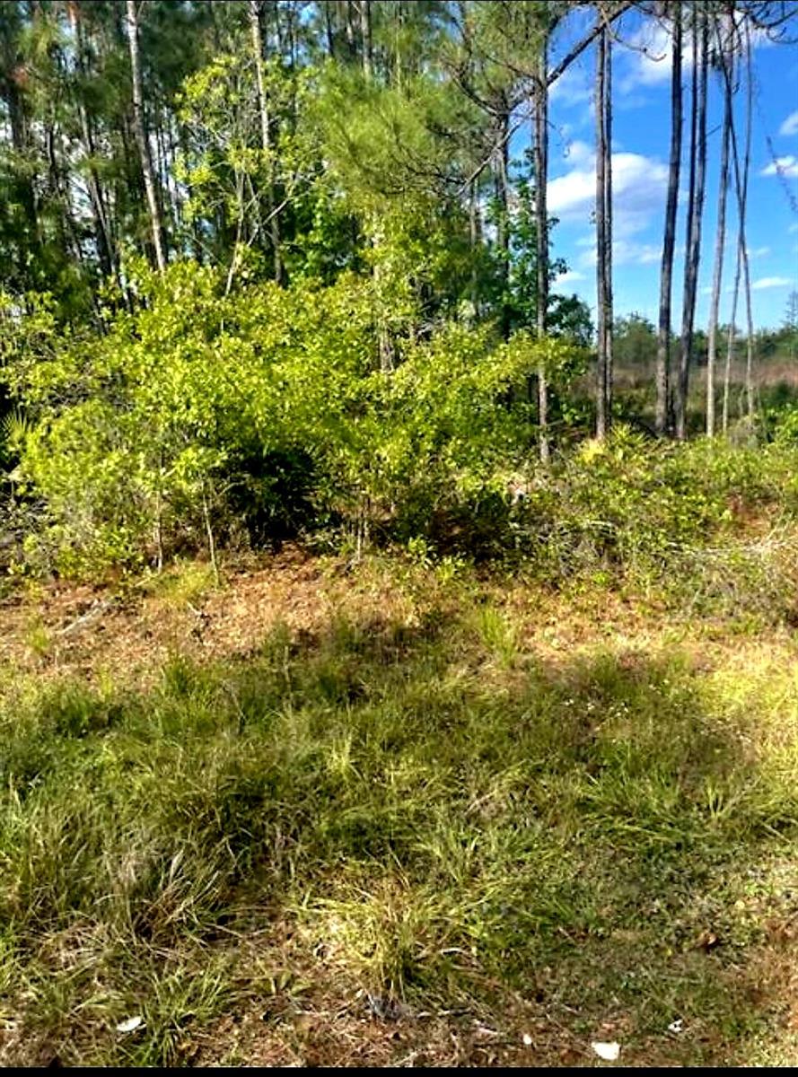   / 0  sq. ft. $ 2023-05-13 0 foto