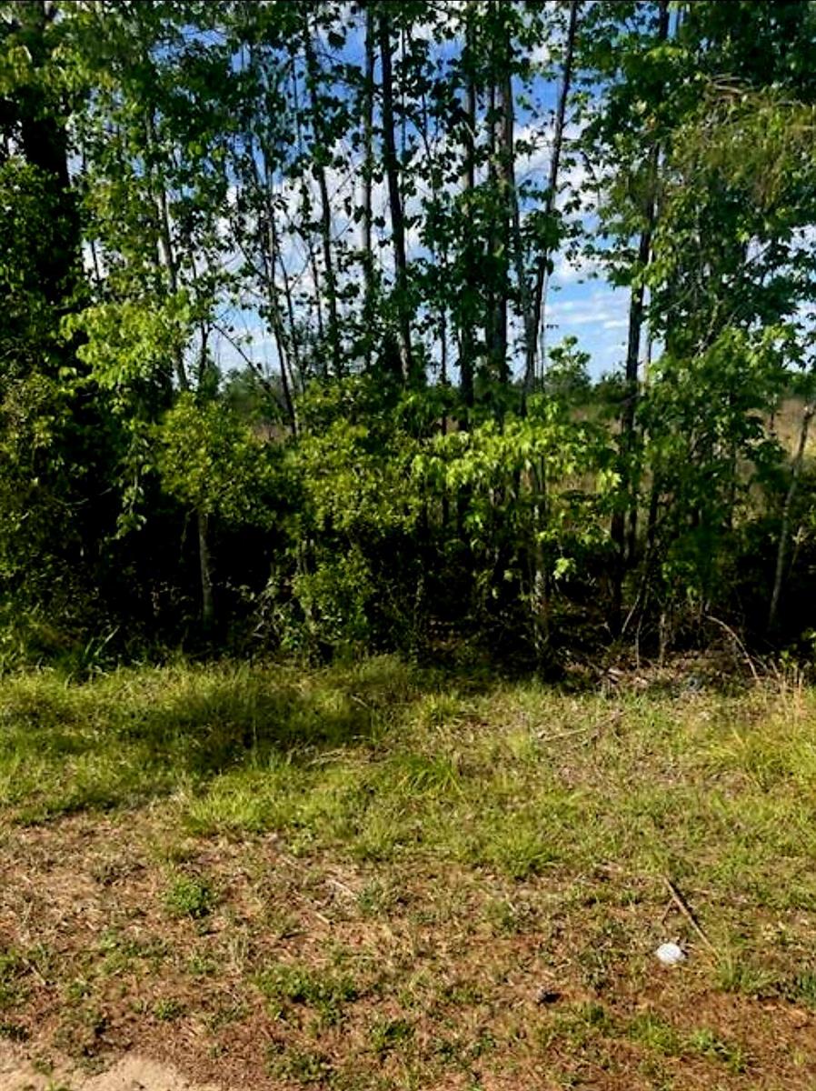   / 0  sq. ft. $ 2023-05-13 0 foto