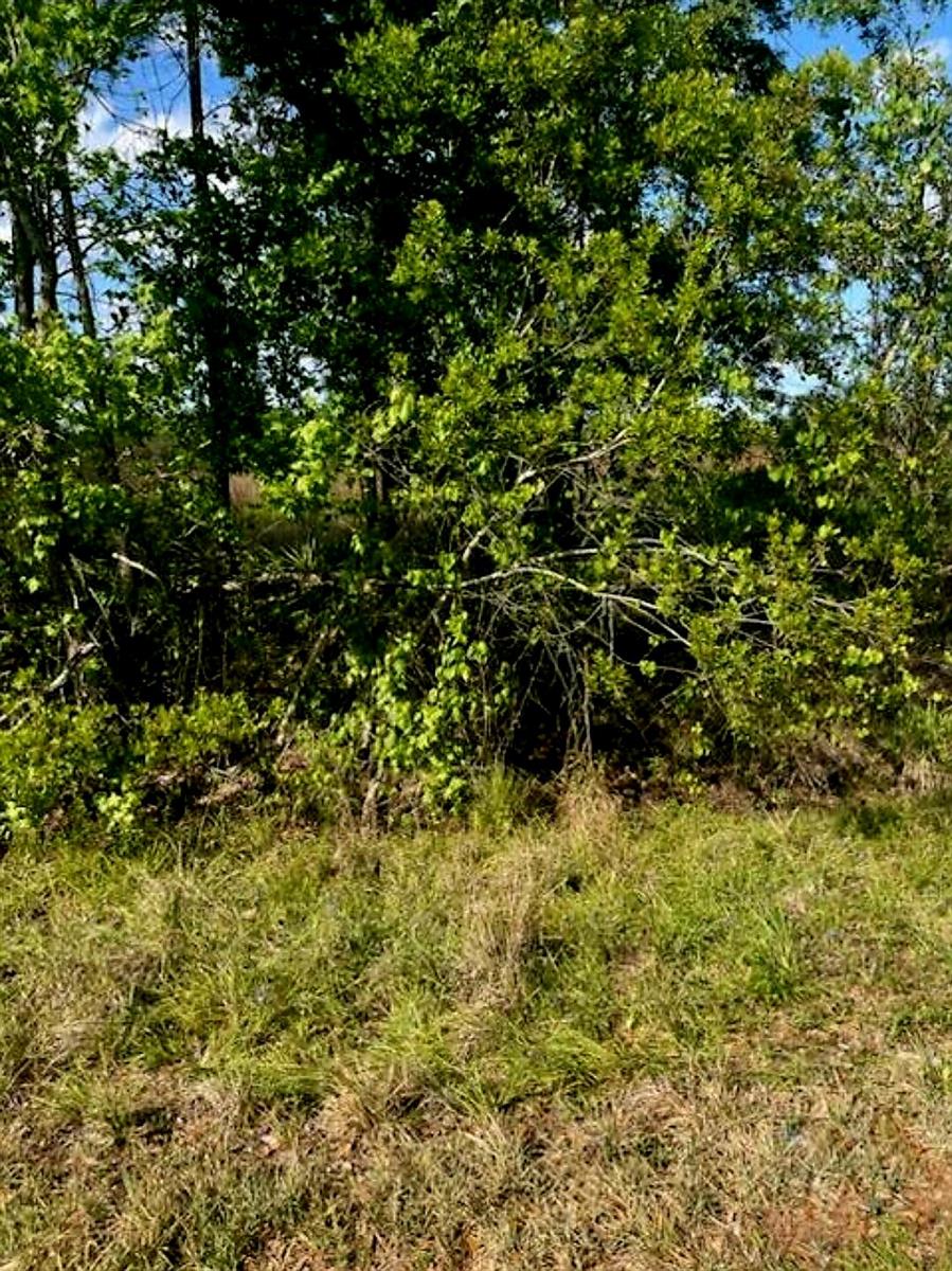   / 0  sq. ft. $ 2023-05-13 0 foto