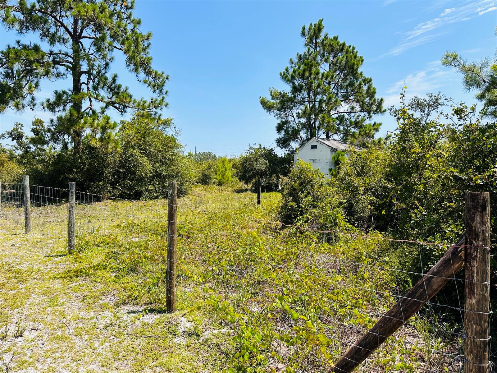   / 0  sq. ft. $ 2026-06-22 0 Photo
