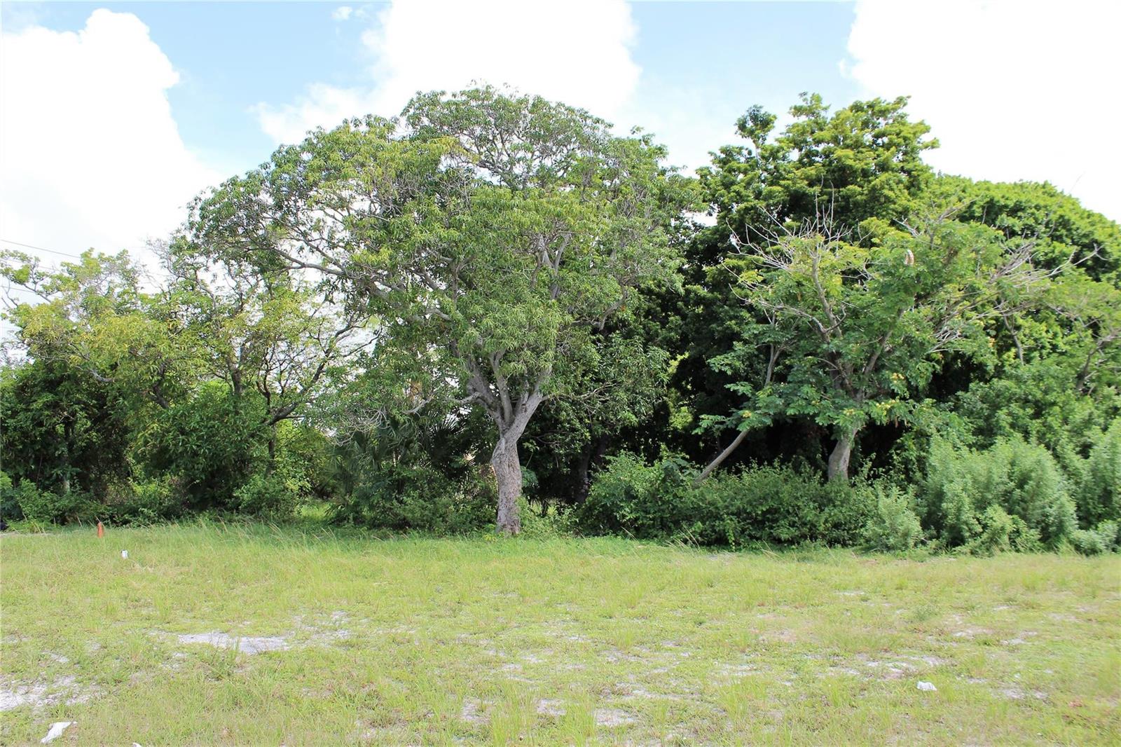   / 0  sq. ft. $ 2026-06-11 0 Photo