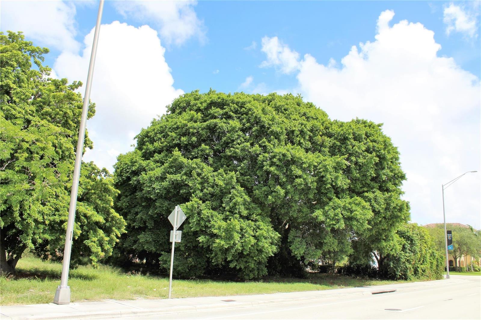   / 0  sq. ft. $ 2026-06-11 0 Photo