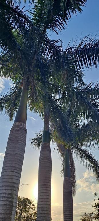 Ver detalles / 0 sq. ft. $ 2024-10-05 0 foto