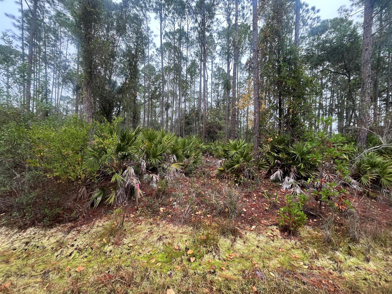   / 0  sq. ft. $ 2026-05-29 0 foto