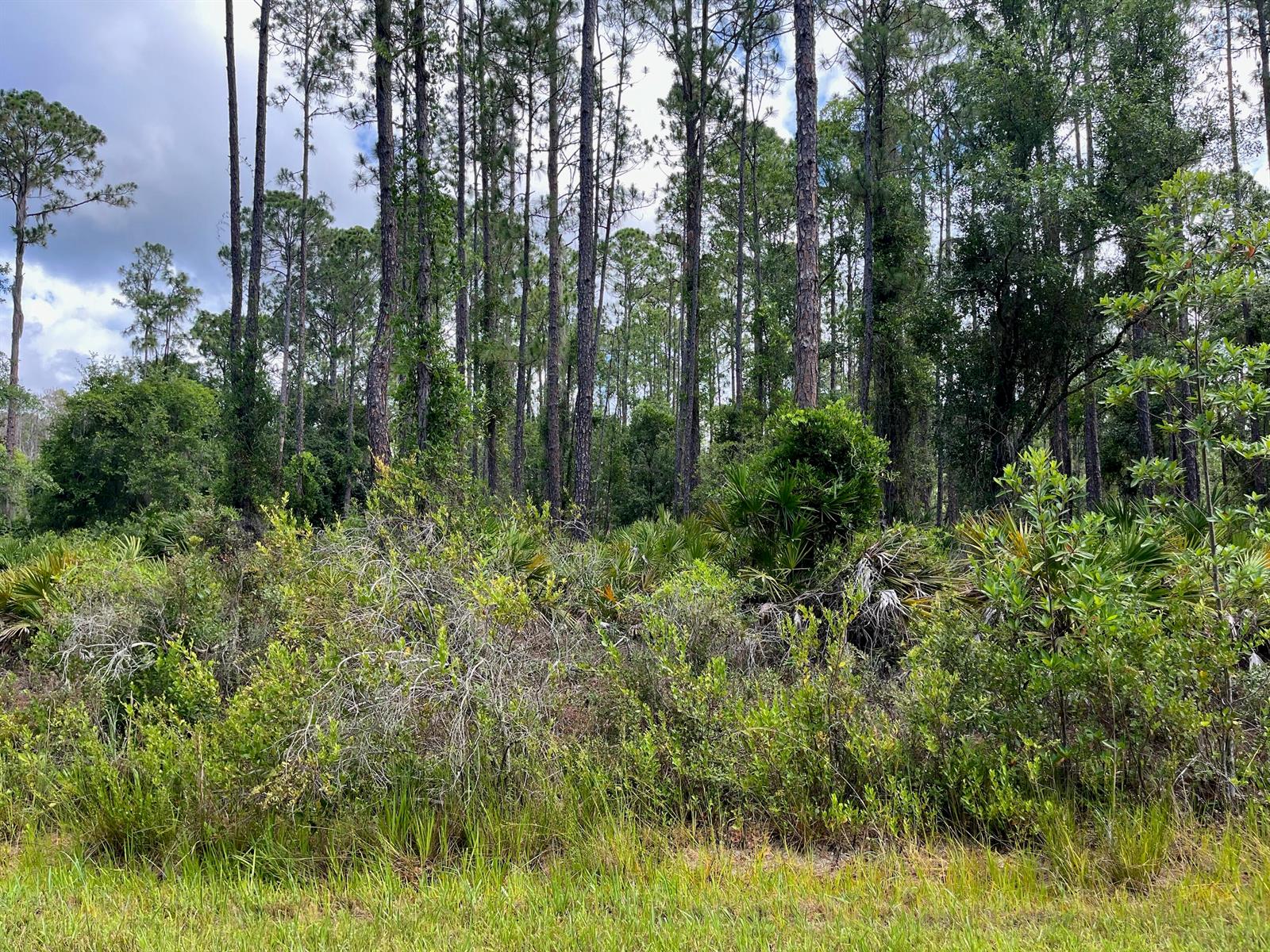   / 0  sq. ft. $ 2026-05-29 0 foto
