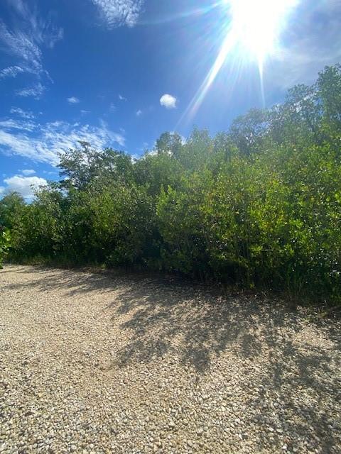 See details / sq. ft. $ 2026-02-19 0 Photo
