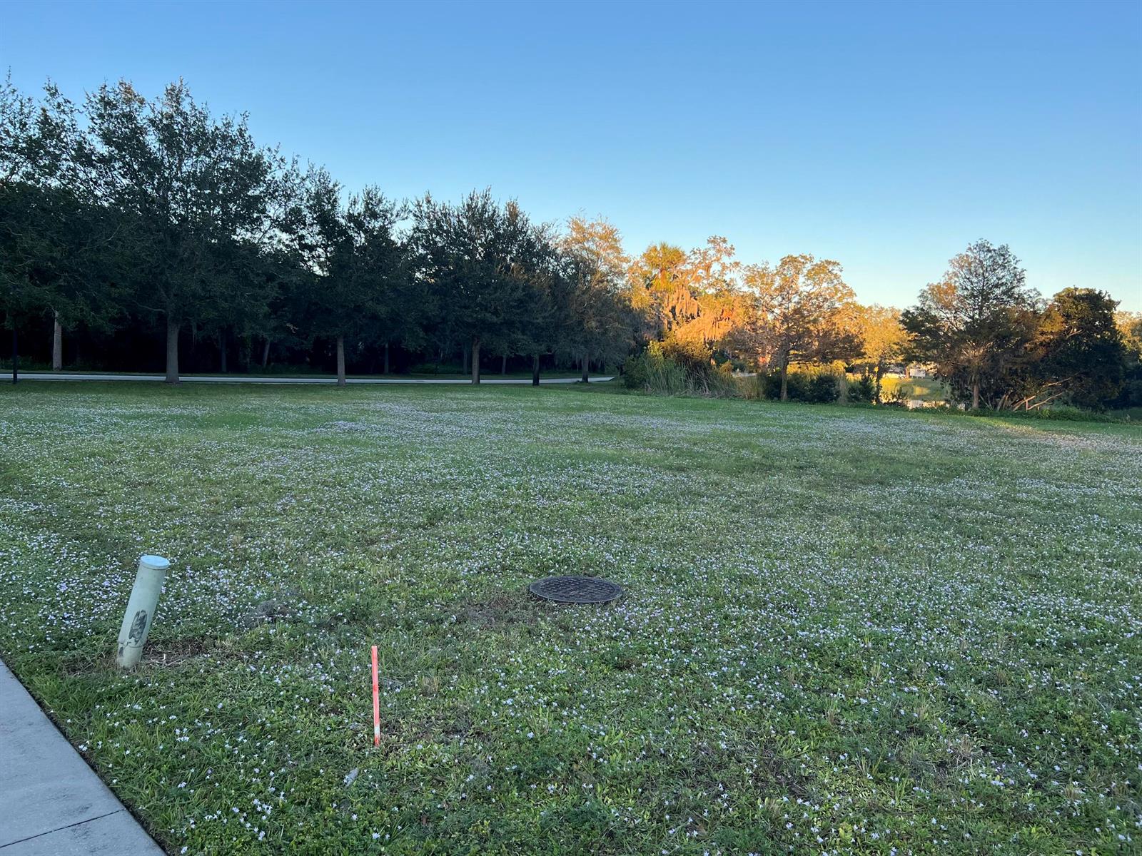 See details / 0 sq. ft. $ 2025-10-07 0 Photo