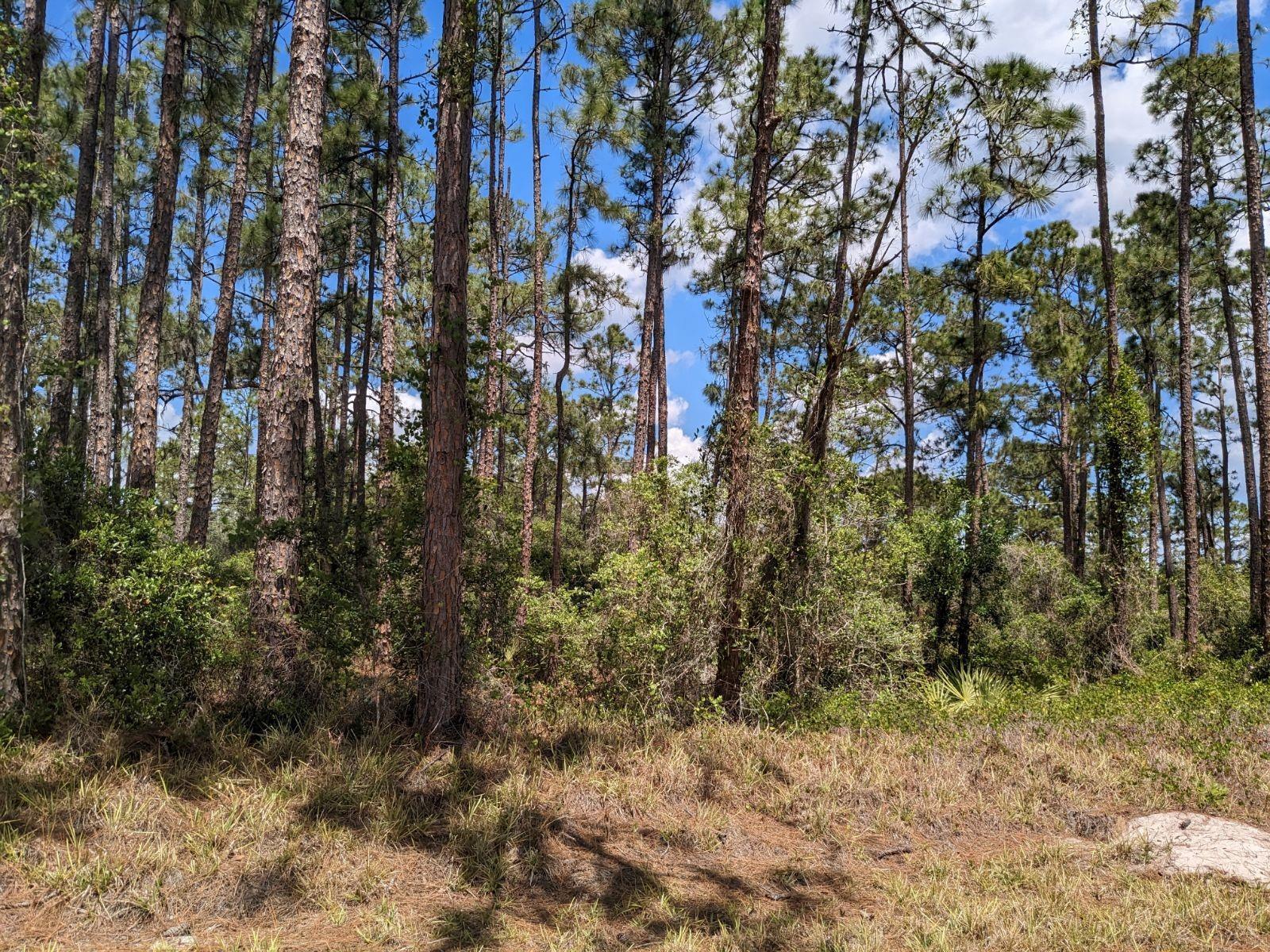   / 0  sq. ft. $ 2025-03-07 0 foto