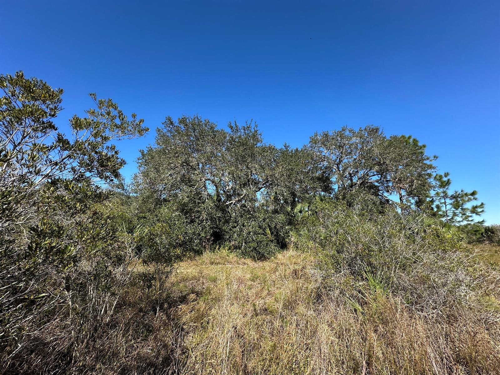   / 0  sq. ft. $ 2025-03-31 0 foto