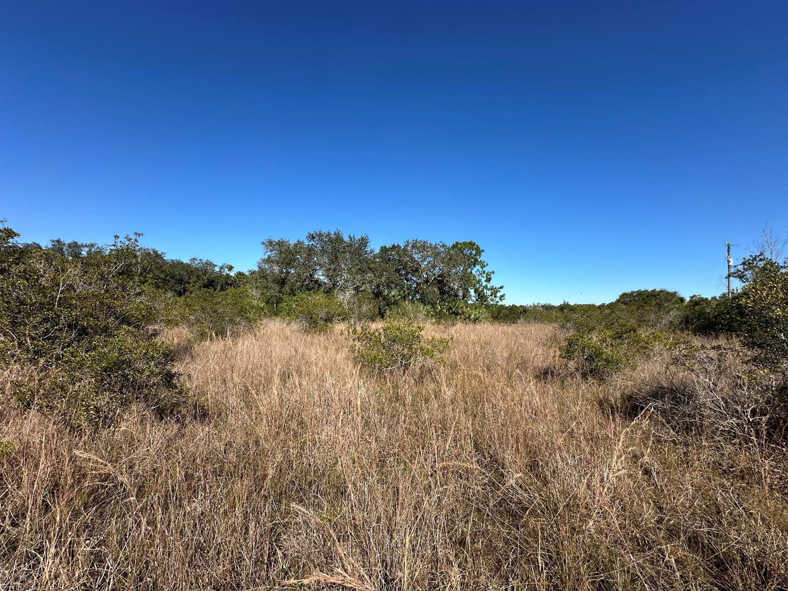   / 0  sq. ft. $ 2025-03-31 0 foto