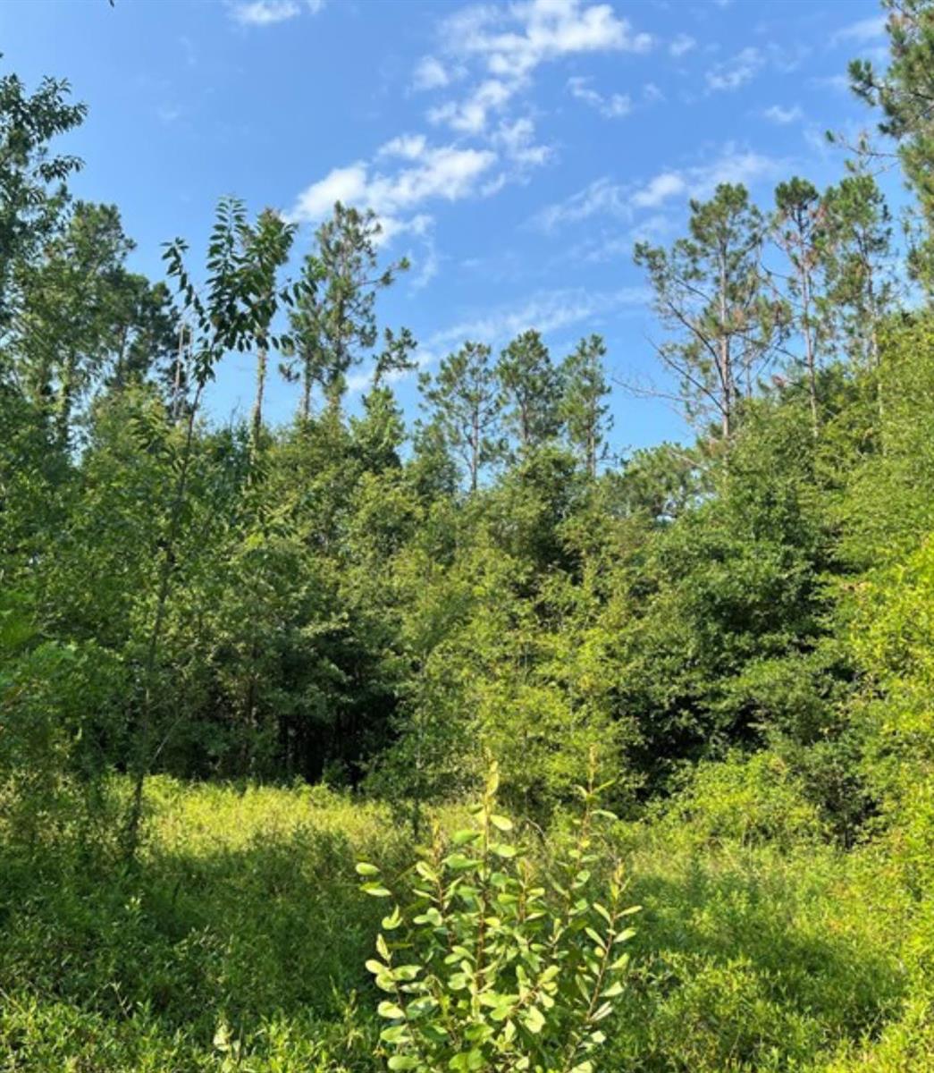 See details / 0 sq. ft. $ 2026-06-19 0 Photo