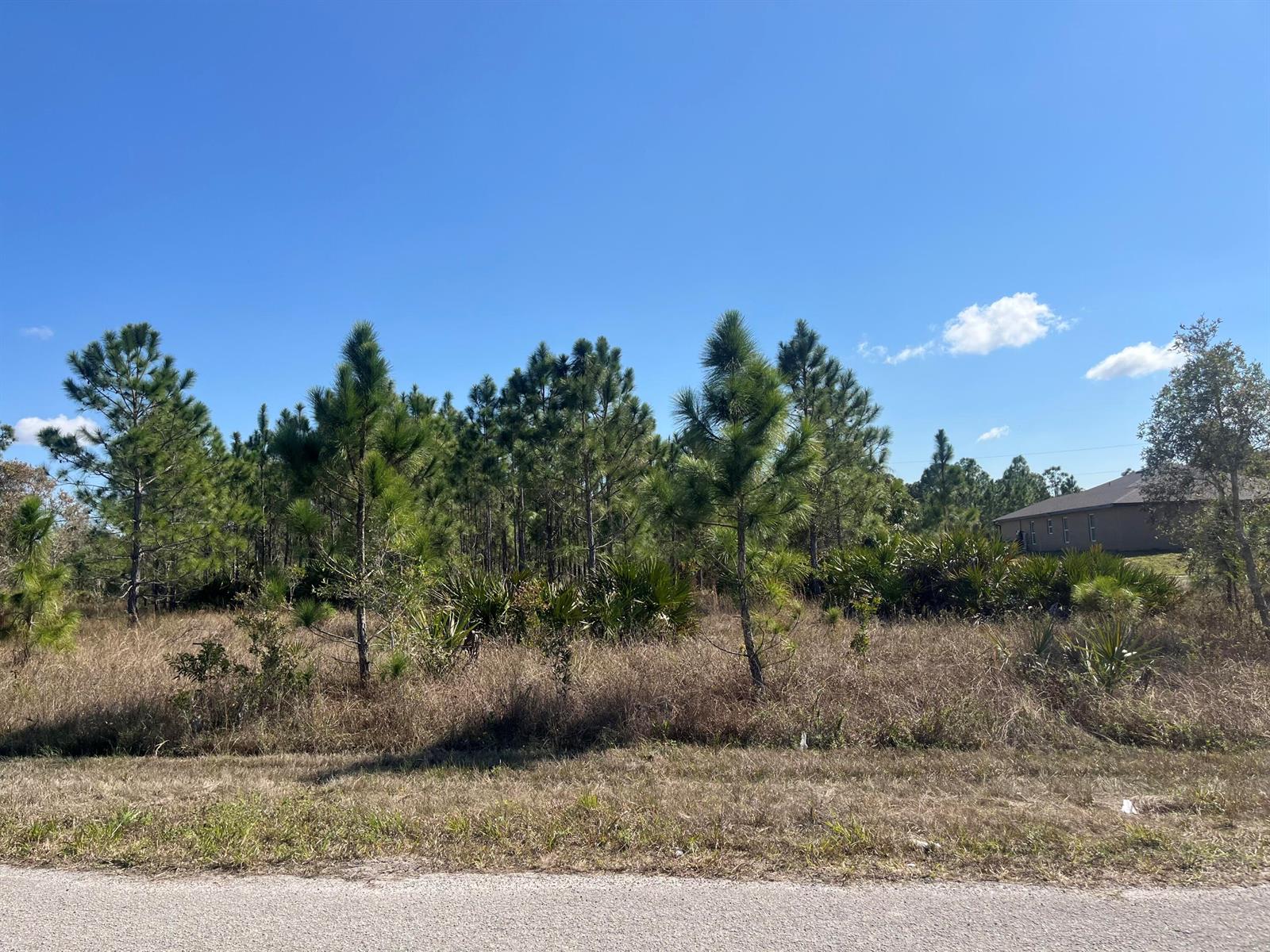 See details / 0 sq. ft. $ 2025-11-06 0 Photo