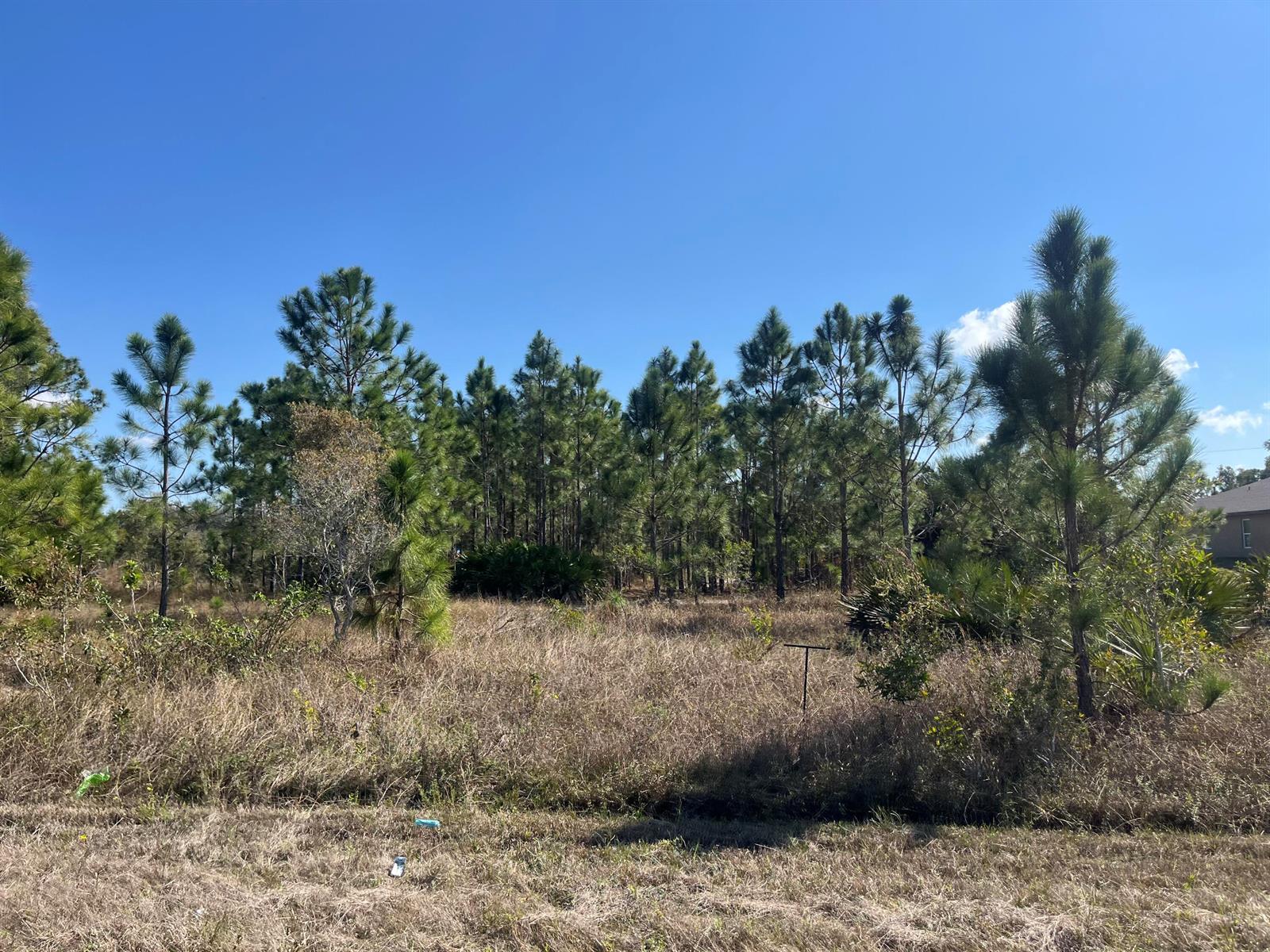 See details / 0 sq. ft. $ 2025-11-06 0 Photo
