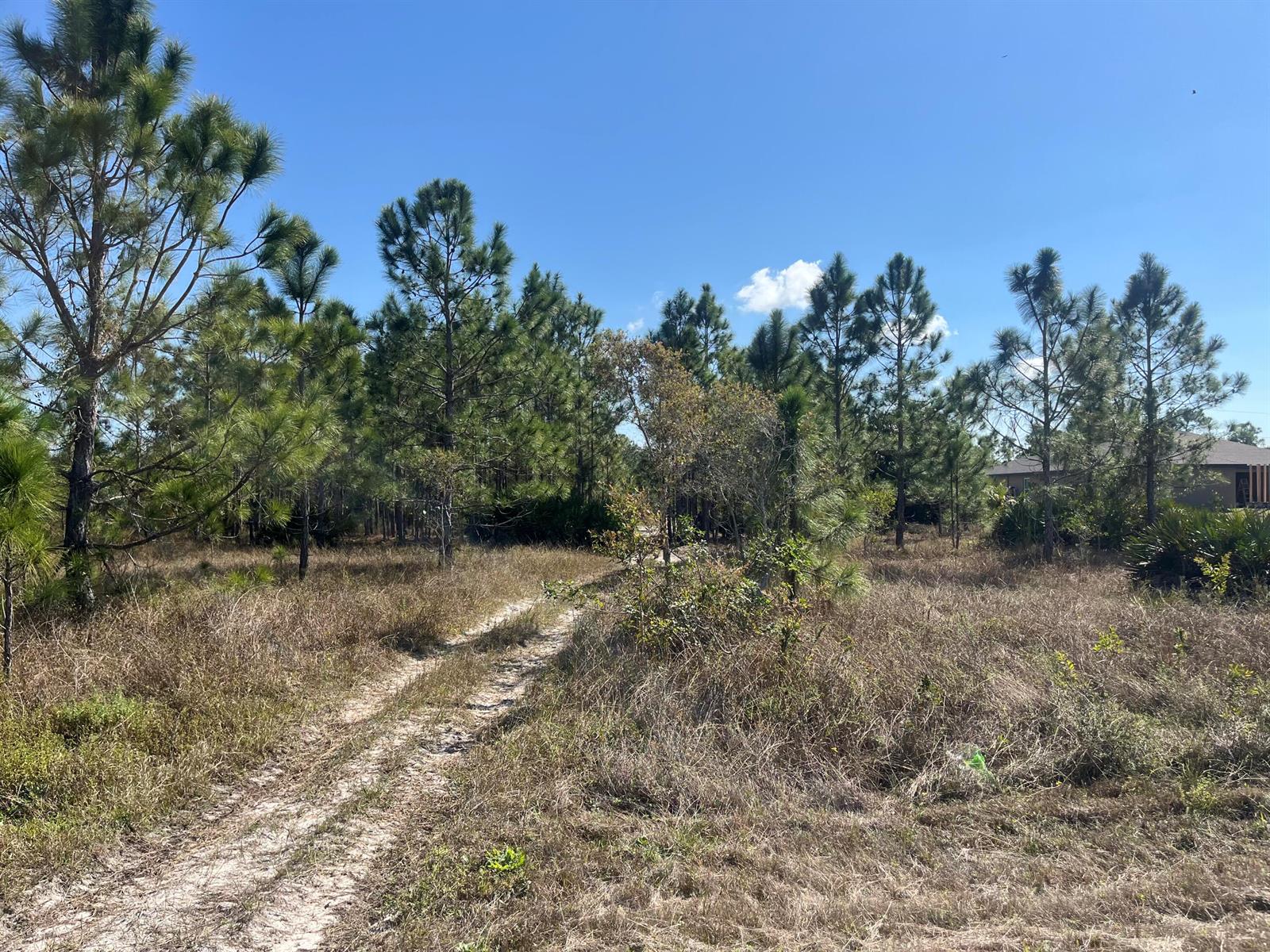 See details / 0 sq. ft. $ 2025-11-06 0 Photo