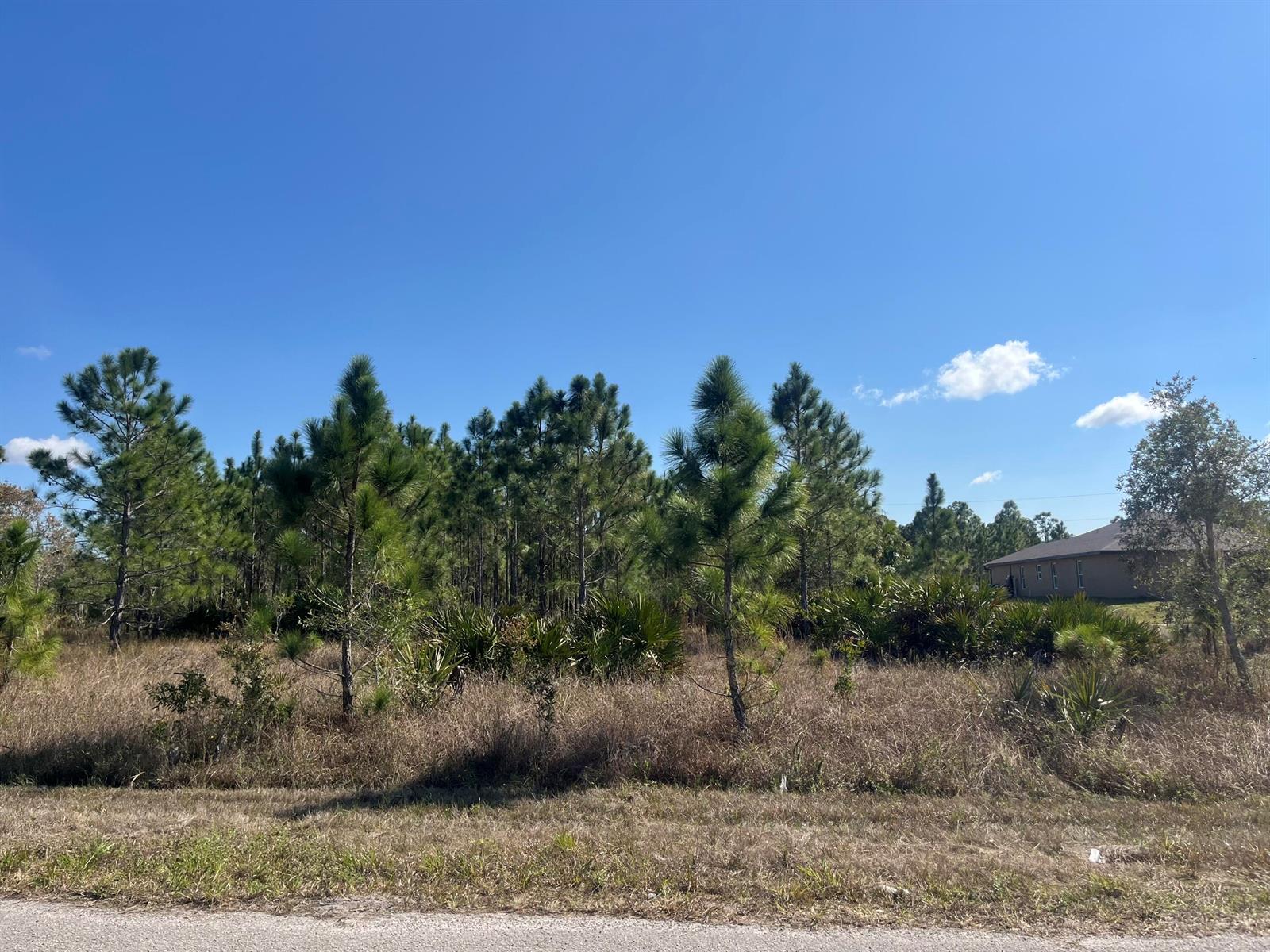 See details / 0 sq. ft. $ 2025-11-06 0 Photo