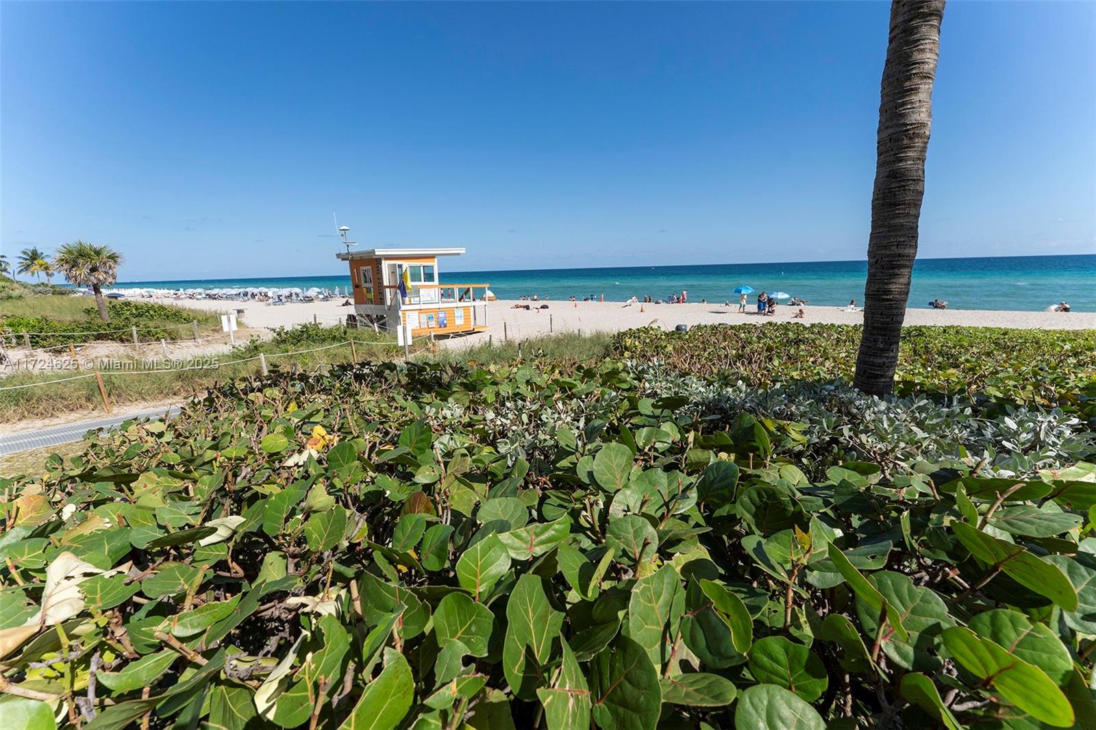 Подробнее 3511 2 / 2 1087 кв.футов $ 2025-01-14 0 Фото