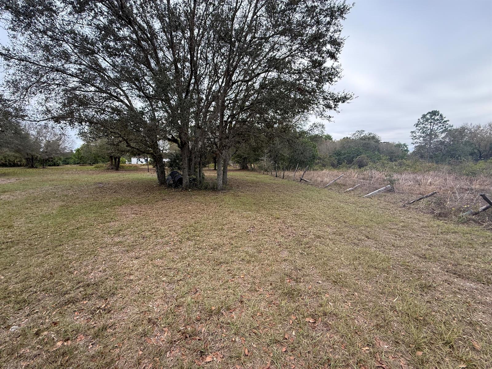   / 0  sq. ft. $ 2026-06-15 0 foto