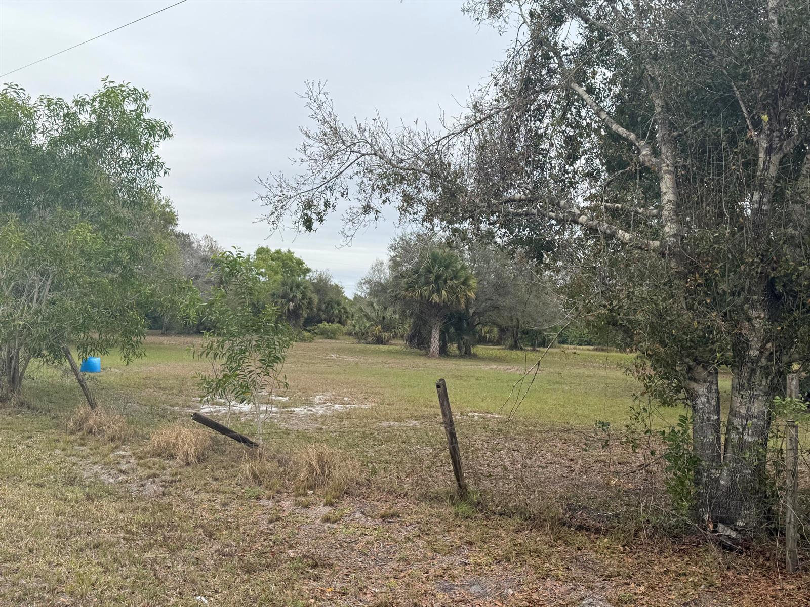  / 0  sq. ft. $ 2026-06-15 0 foto