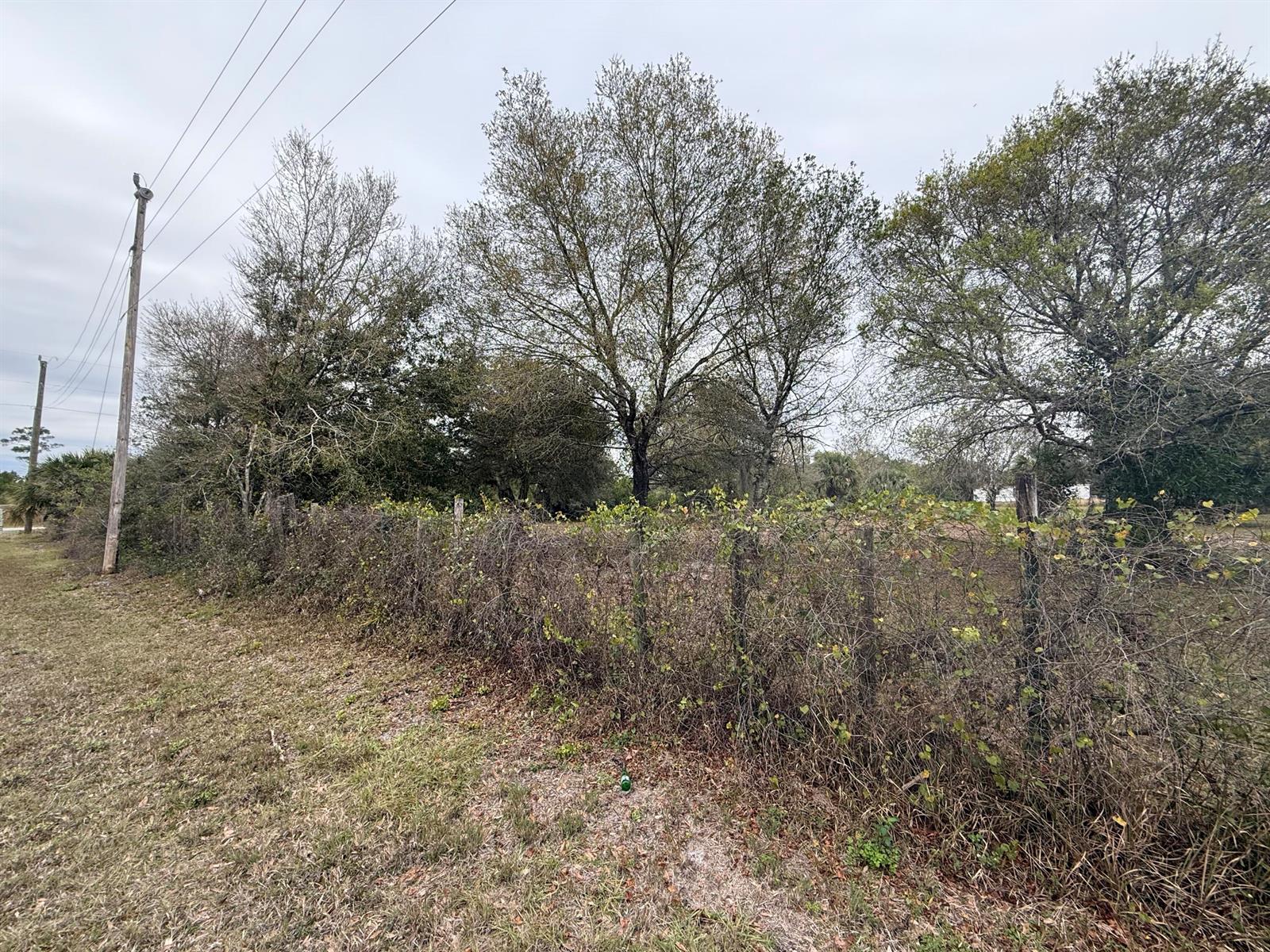   / 0  sq. ft. $ 2026-06-15 0 foto