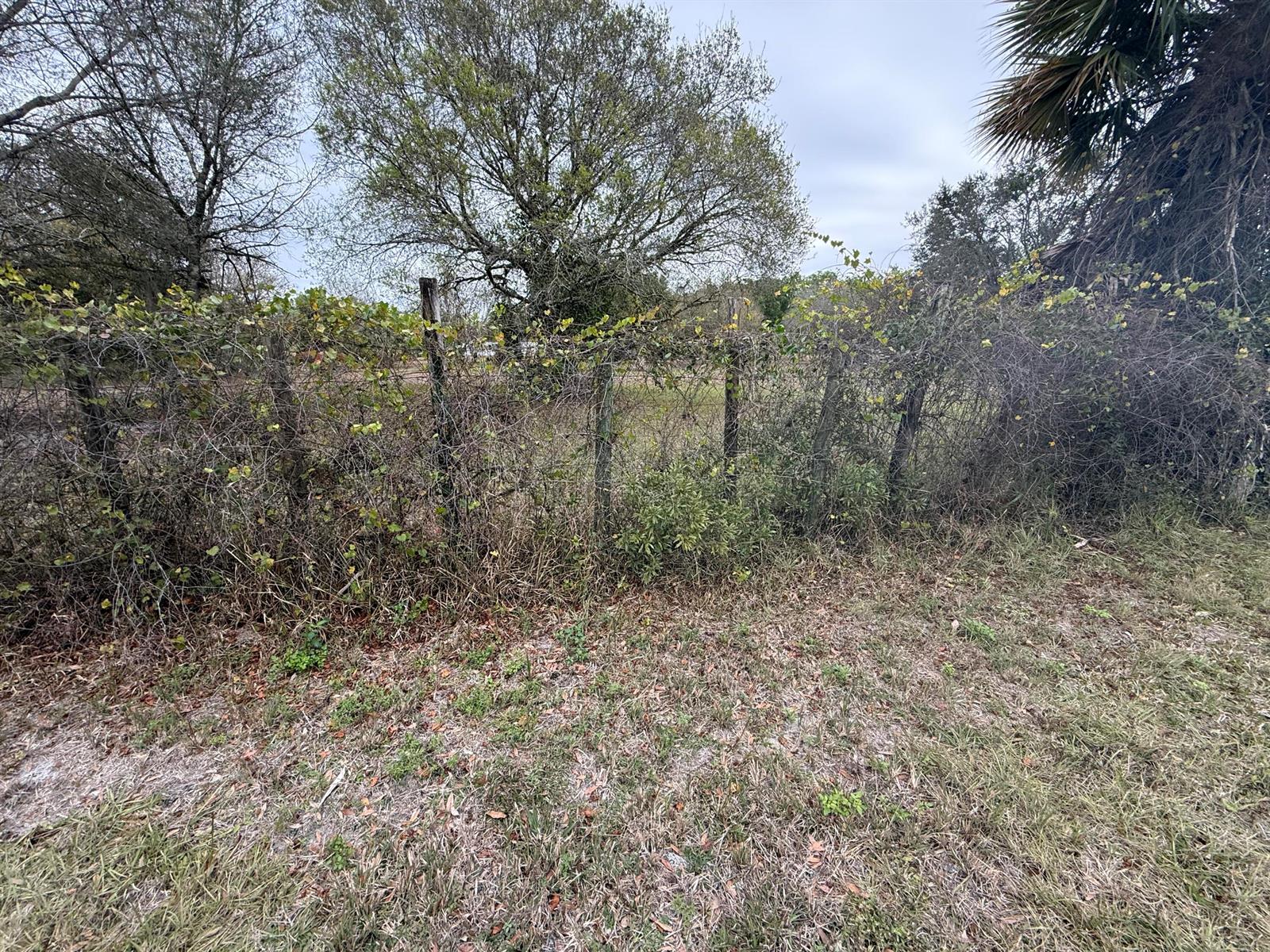   / 0  sq. ft. $ 2026-06-15 0 foto