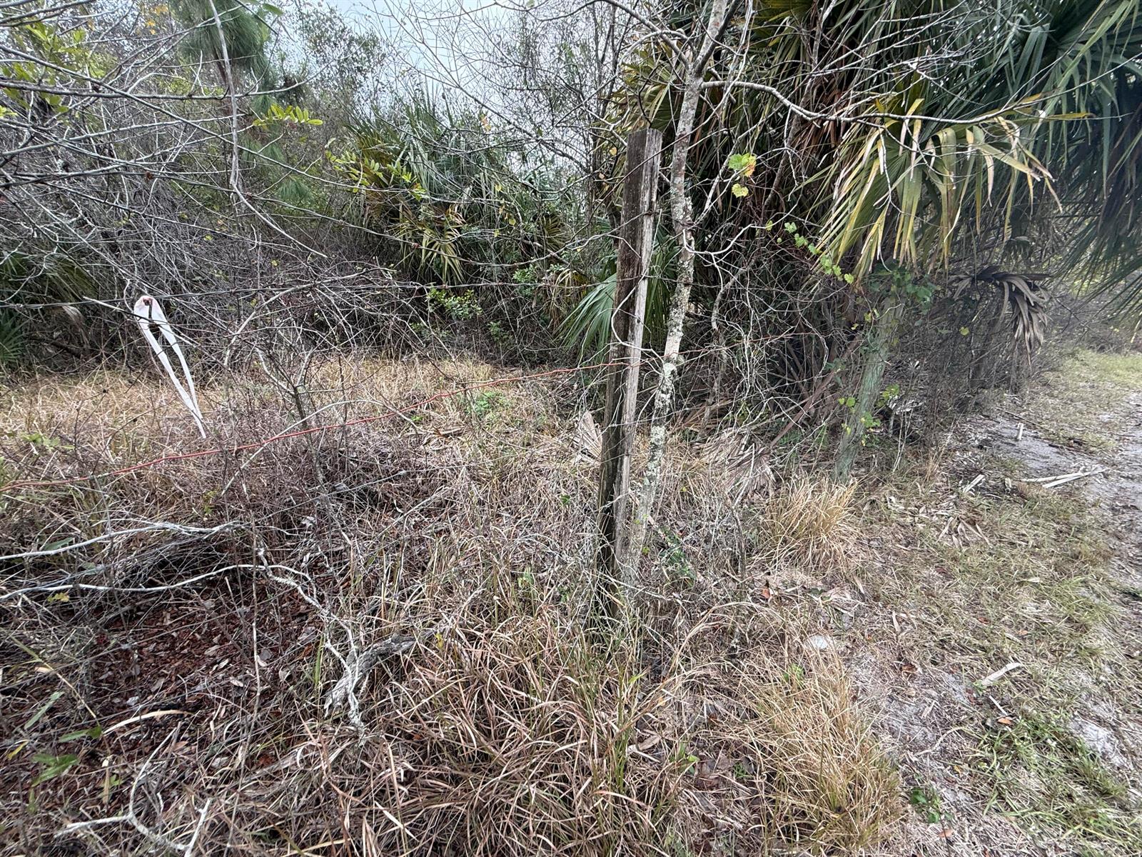   / 0  sq. ft. $ 2026-06-15 0 foto