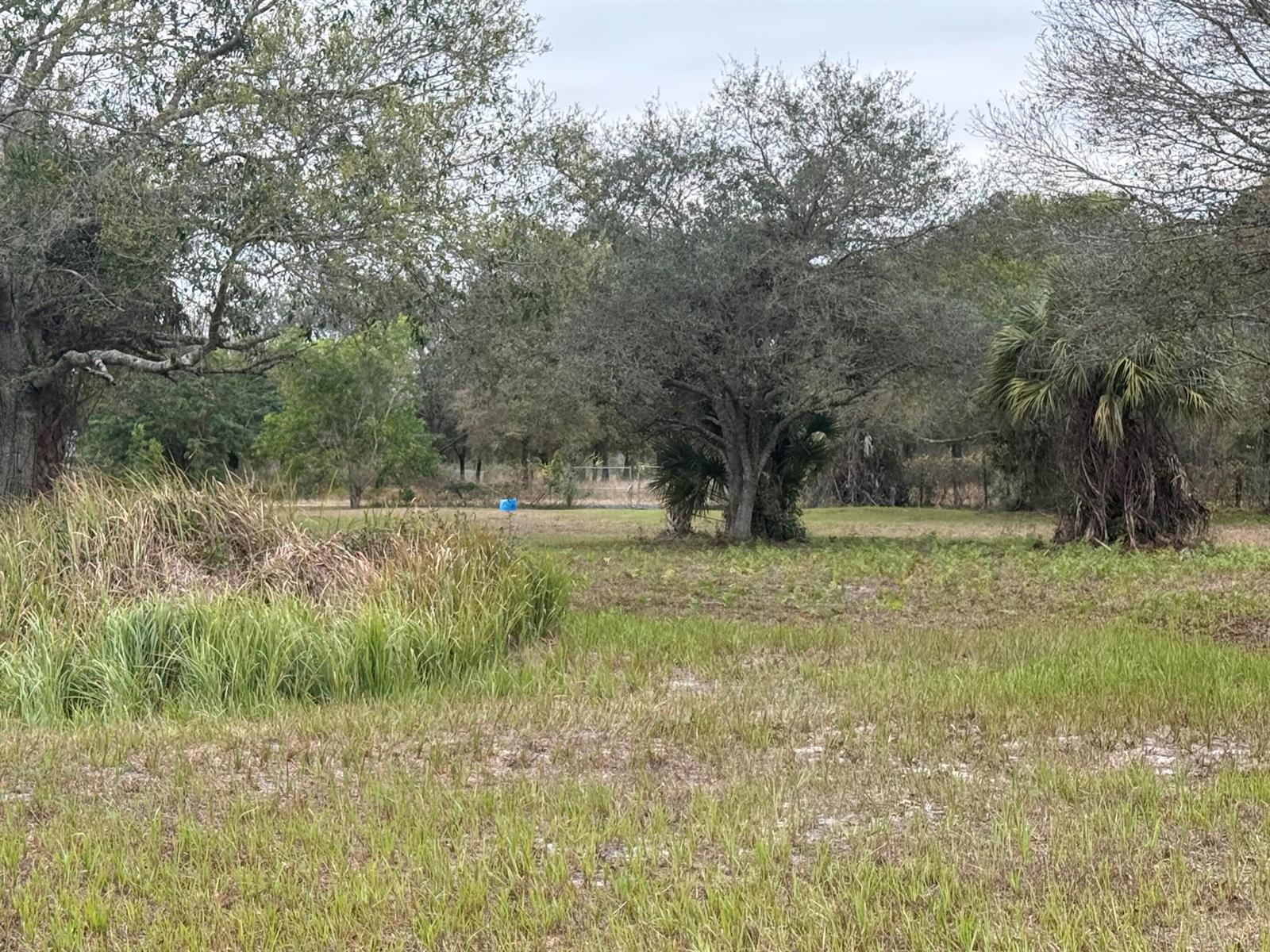  / 0  sq. ft. $ 2026-06-15 0 foto