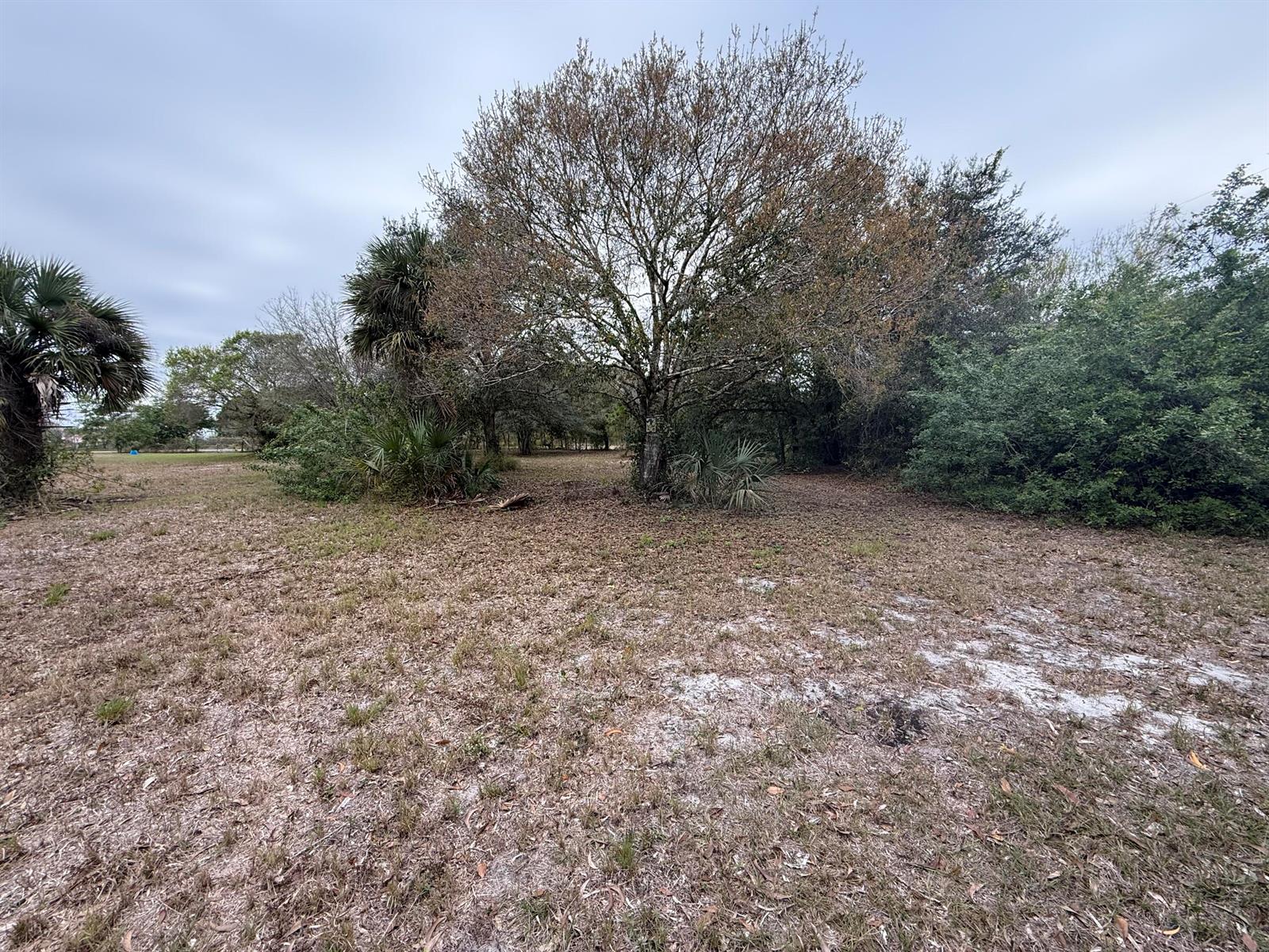  / 0  sq. ft. $ 2026-06-15 0 foto