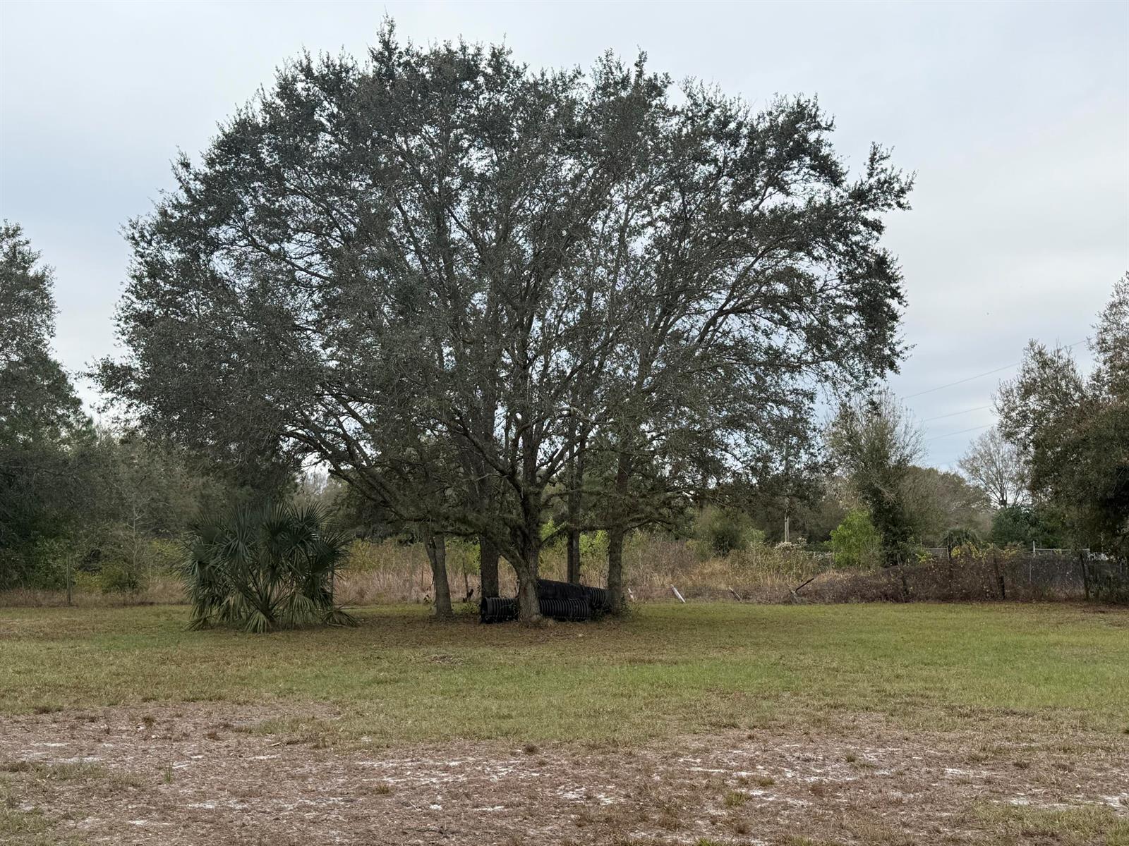   / 0  sq. ft. $ 2026-06-15 0 foto