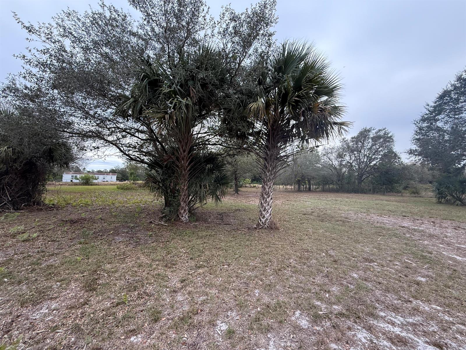   / 0  sq. ft. $ 2026-06-15 0 foto