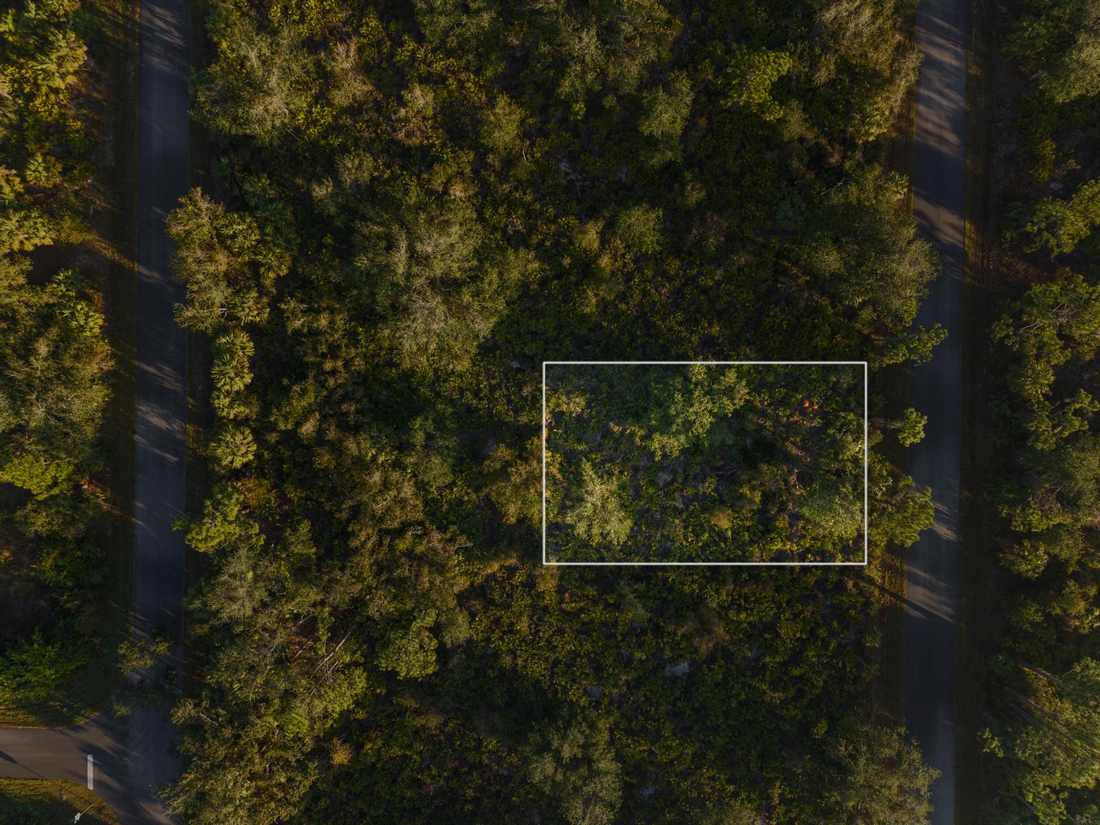   / 0  sq. ft. $ 2026-06-19 0 Photo