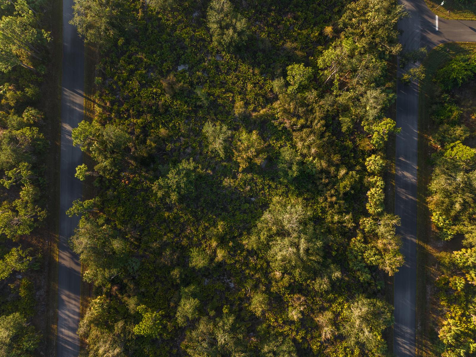   / 0  sq. ft. $ 2026-06-19 0 Photo