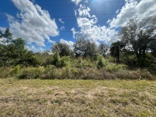 See details / 0 sq. ft. $ 2025-11-06 0 Photo