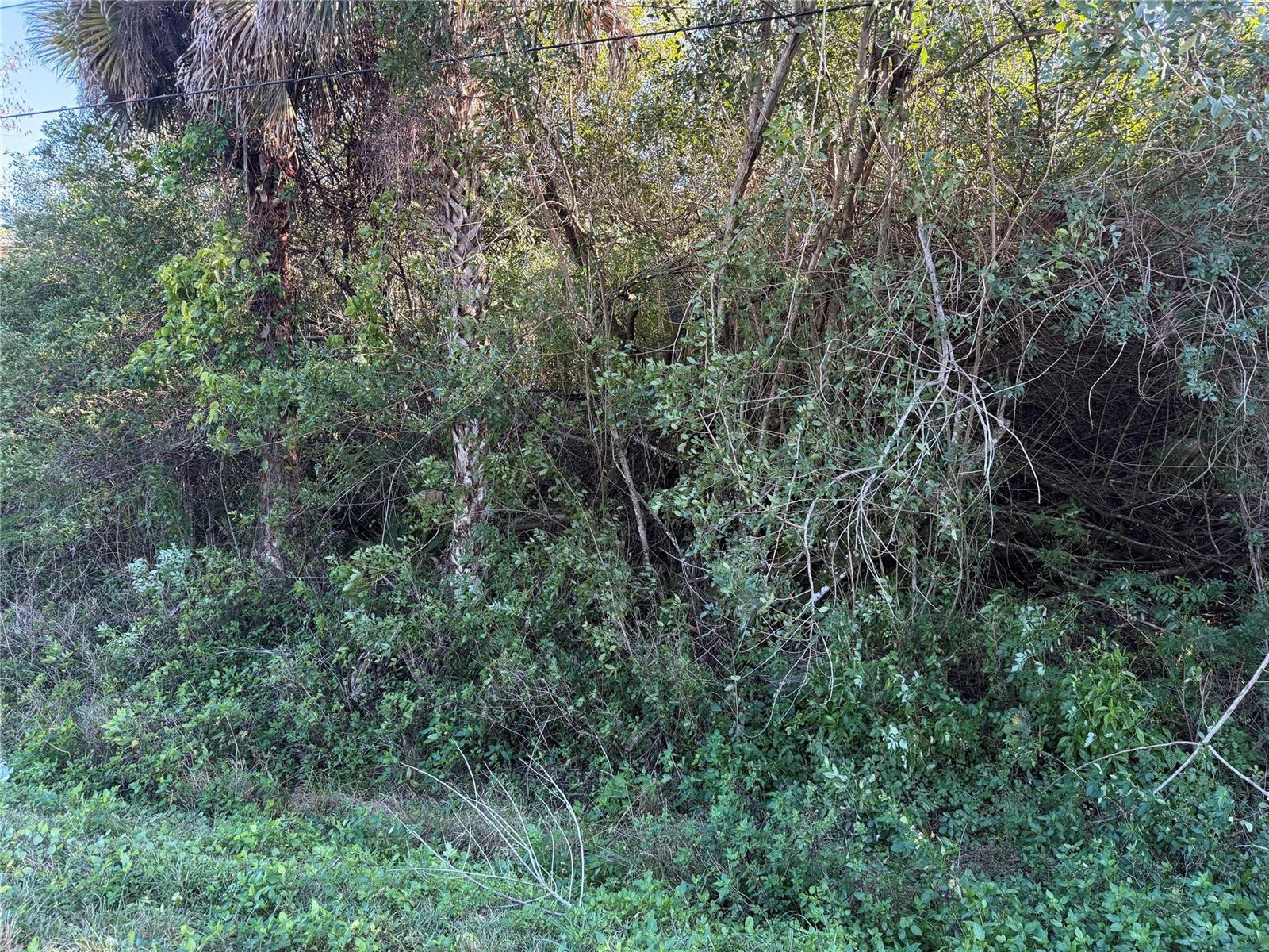 Ver detalles / 0 sq. ft. $ 2026-04-21 0 foto