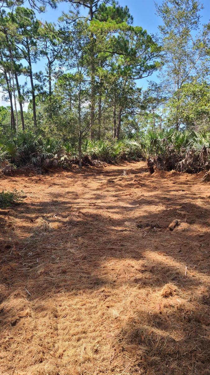   / 0  sq. ft. $ 2025-11-18 0 foto