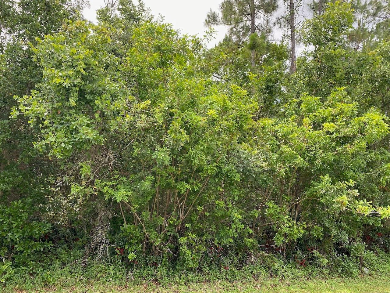   / 0  sq. ft. $ 2026-06-19 0 Photo