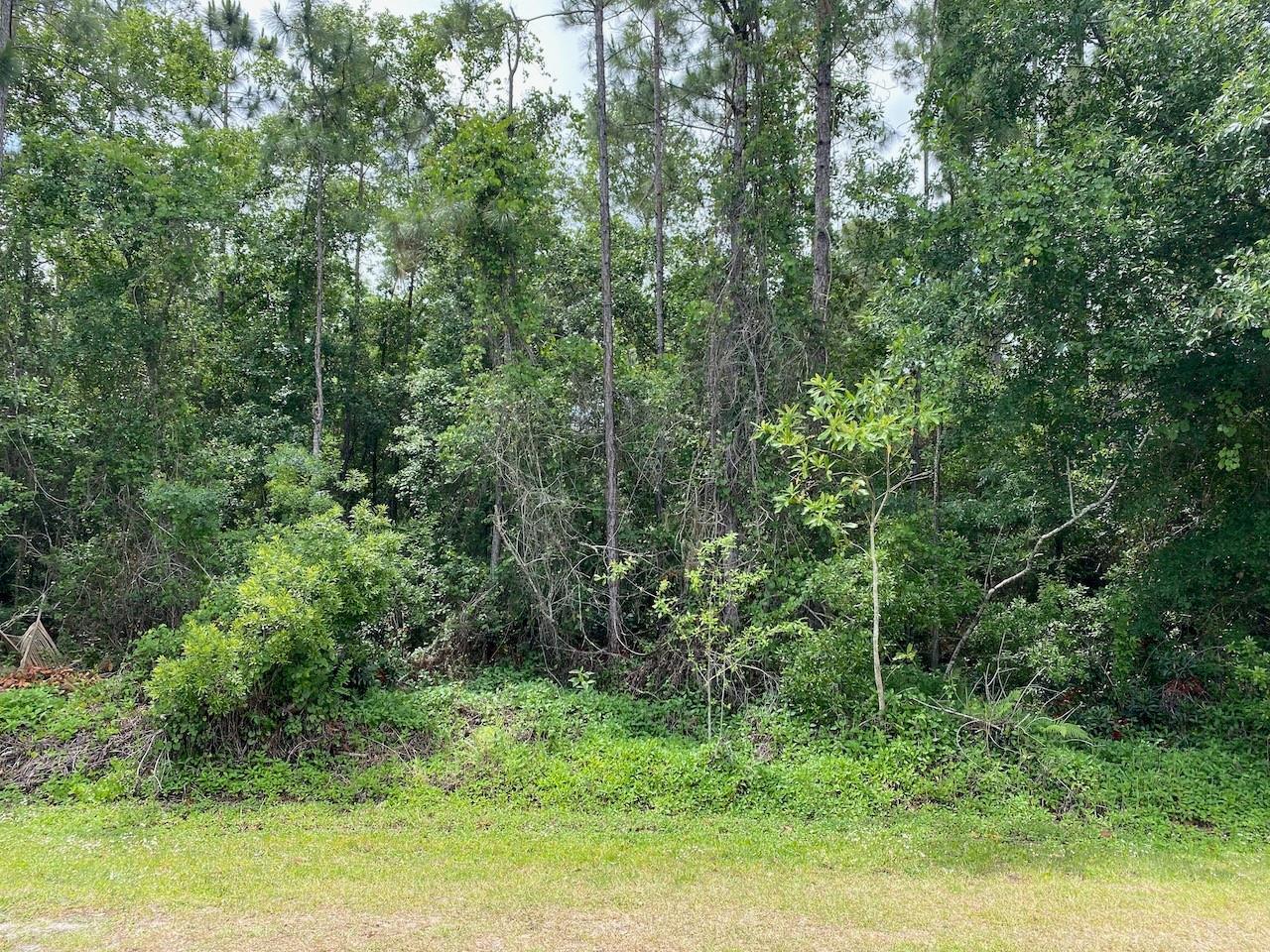   / 0  sq. ft. $ 2026-06-19 0 Photo