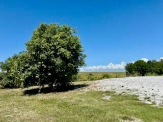 Ver detalles / 0 sq. ft. $ 2026-06-15 0 foto