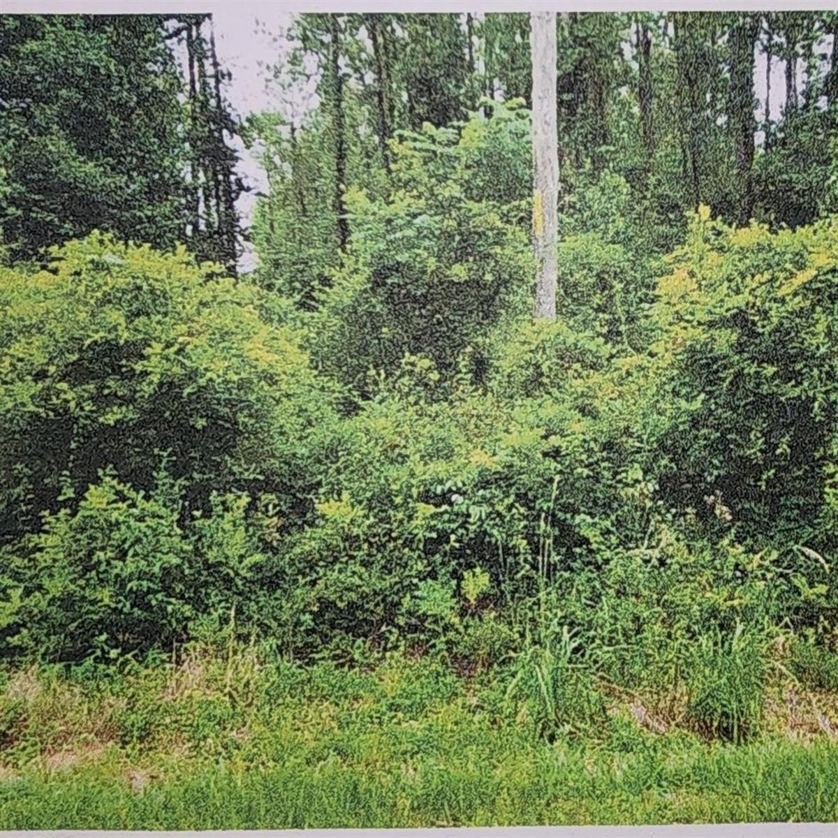   / 0  sq. ft. $ 2026-06-19 0 foto